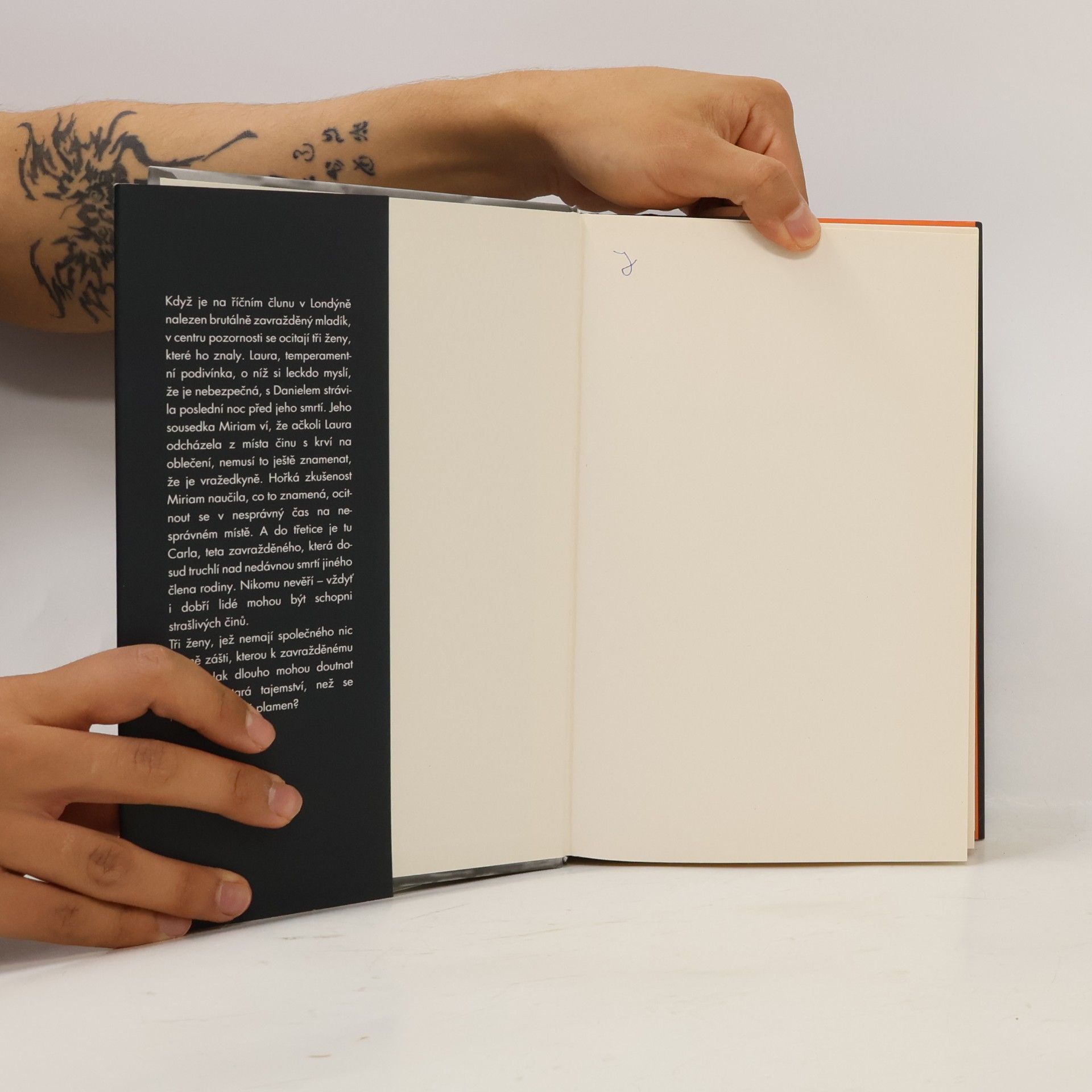 Paula Hawkins Pomalu hořící oheň