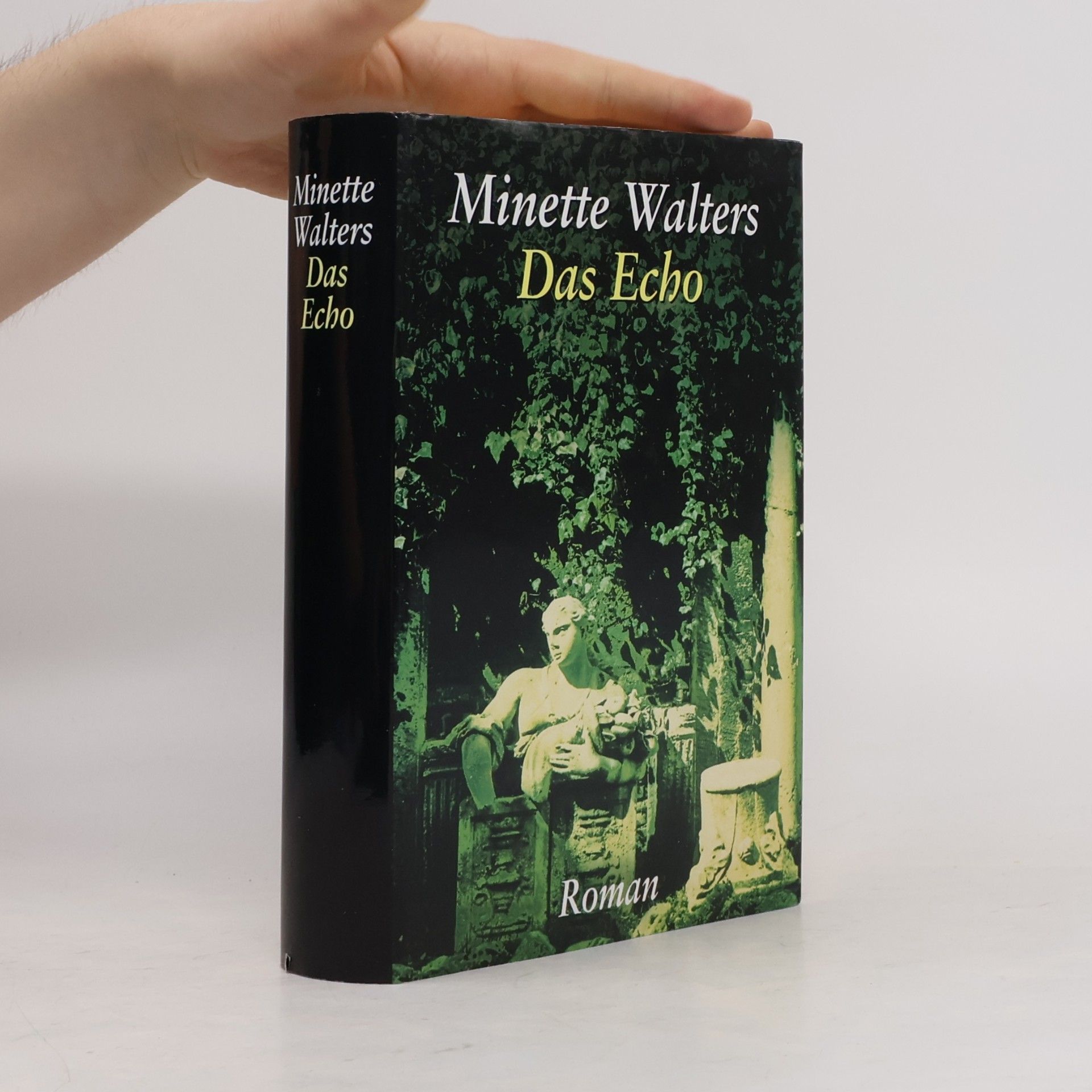 Minette Walter Das Echo