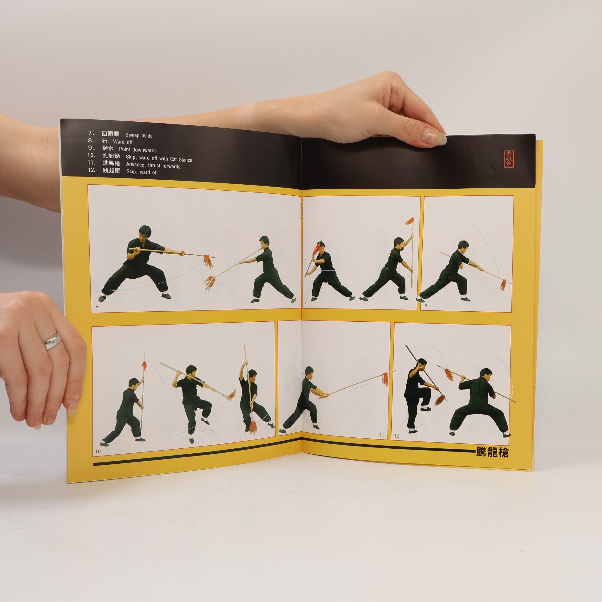 Koon-Hung Lee The Spinning Spear of Choy Lay Fut Kung Fu