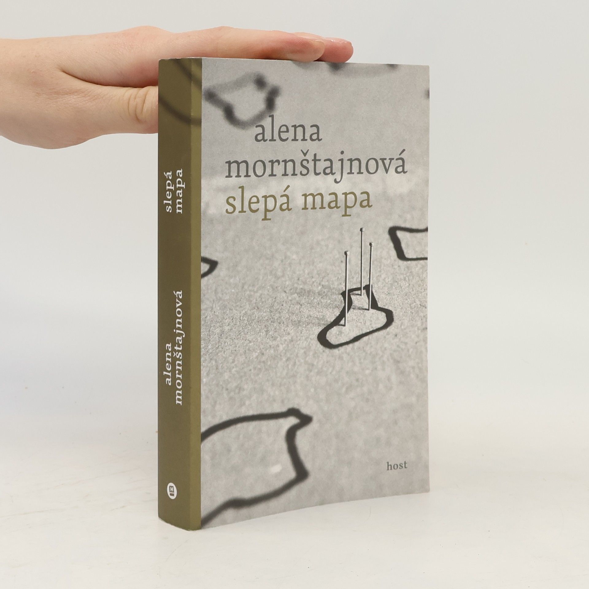 Alena Mornštajnová Slepá mapa