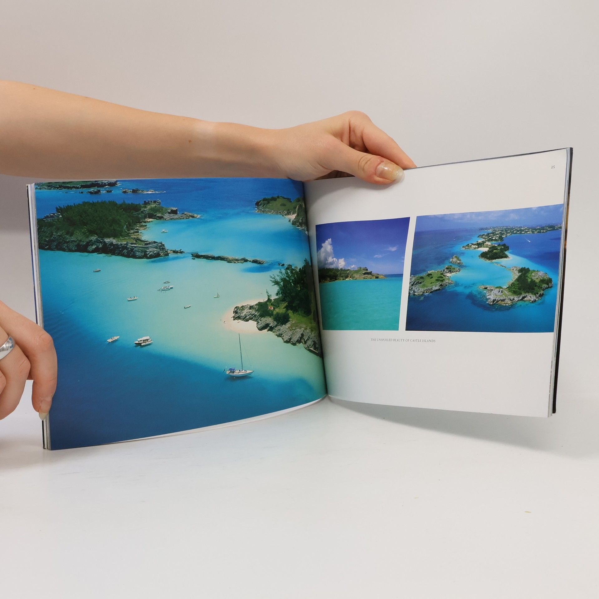 Roland Skinner Picturesque Bermuda at a Glance
