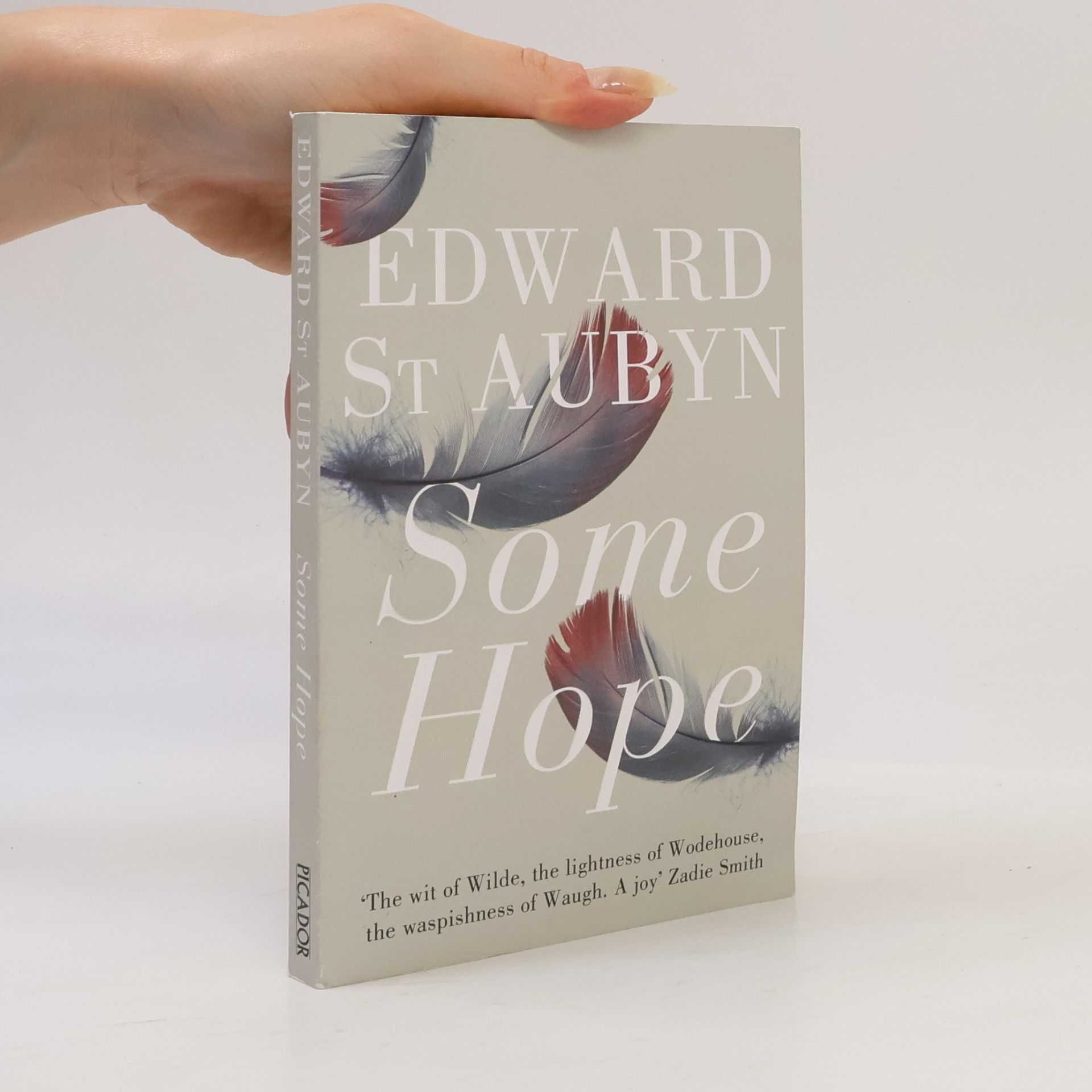 Edward St Aubyn Some Hope. Nette Aussichten, Englische Ausgabe
