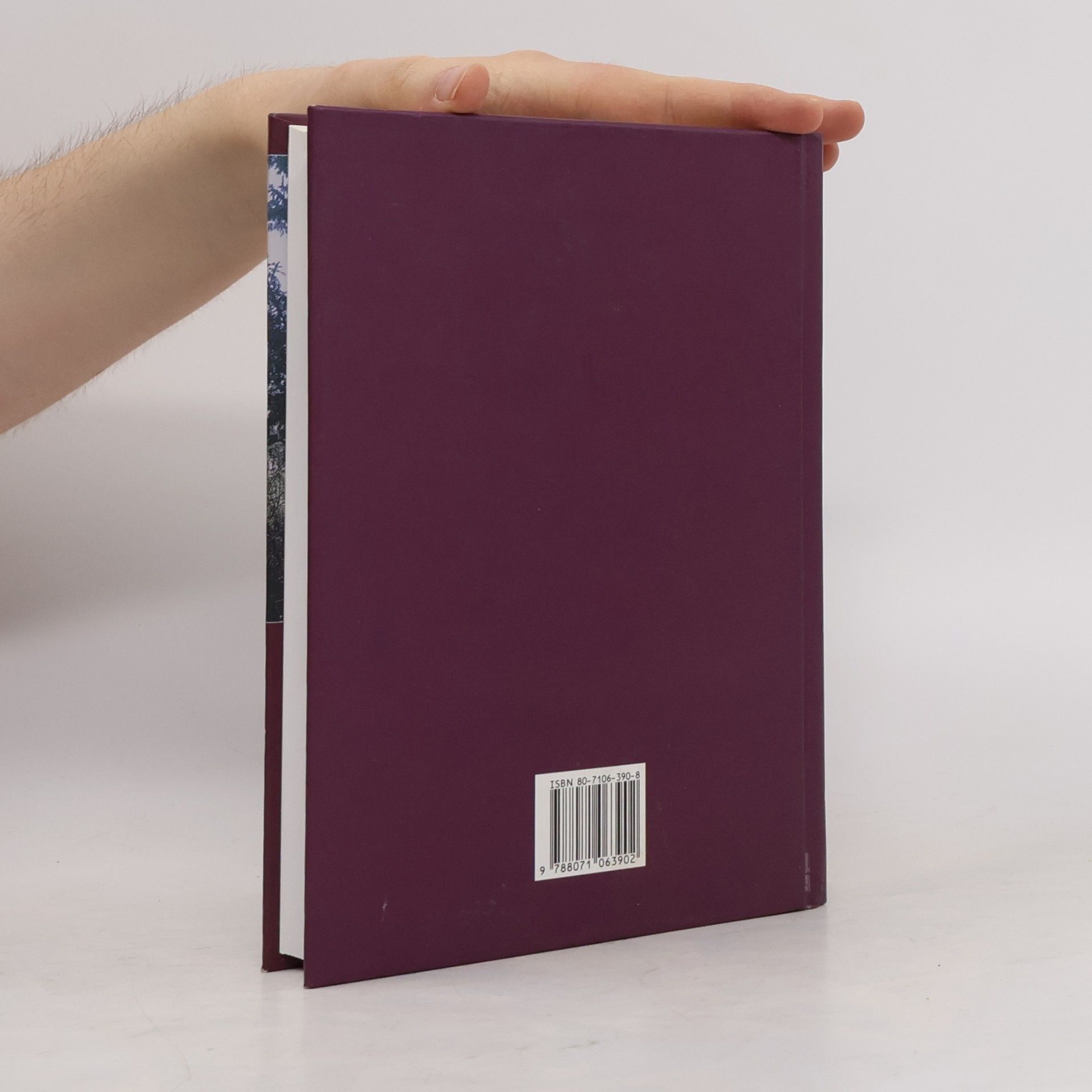 Autorenkollektiv Porozumění : Češi - Němci - východní Evropa 1848-1948