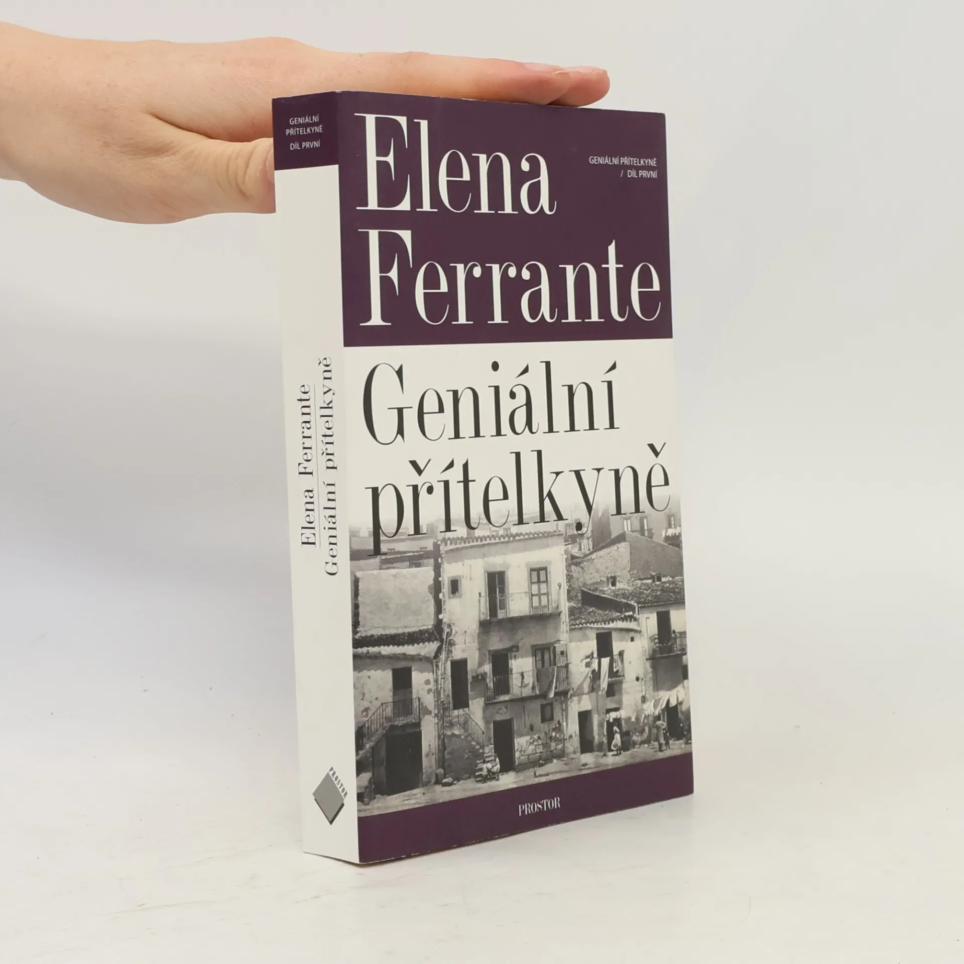 Elena Ferrante Geniální přítelkyně 1. Dětství a dospívání