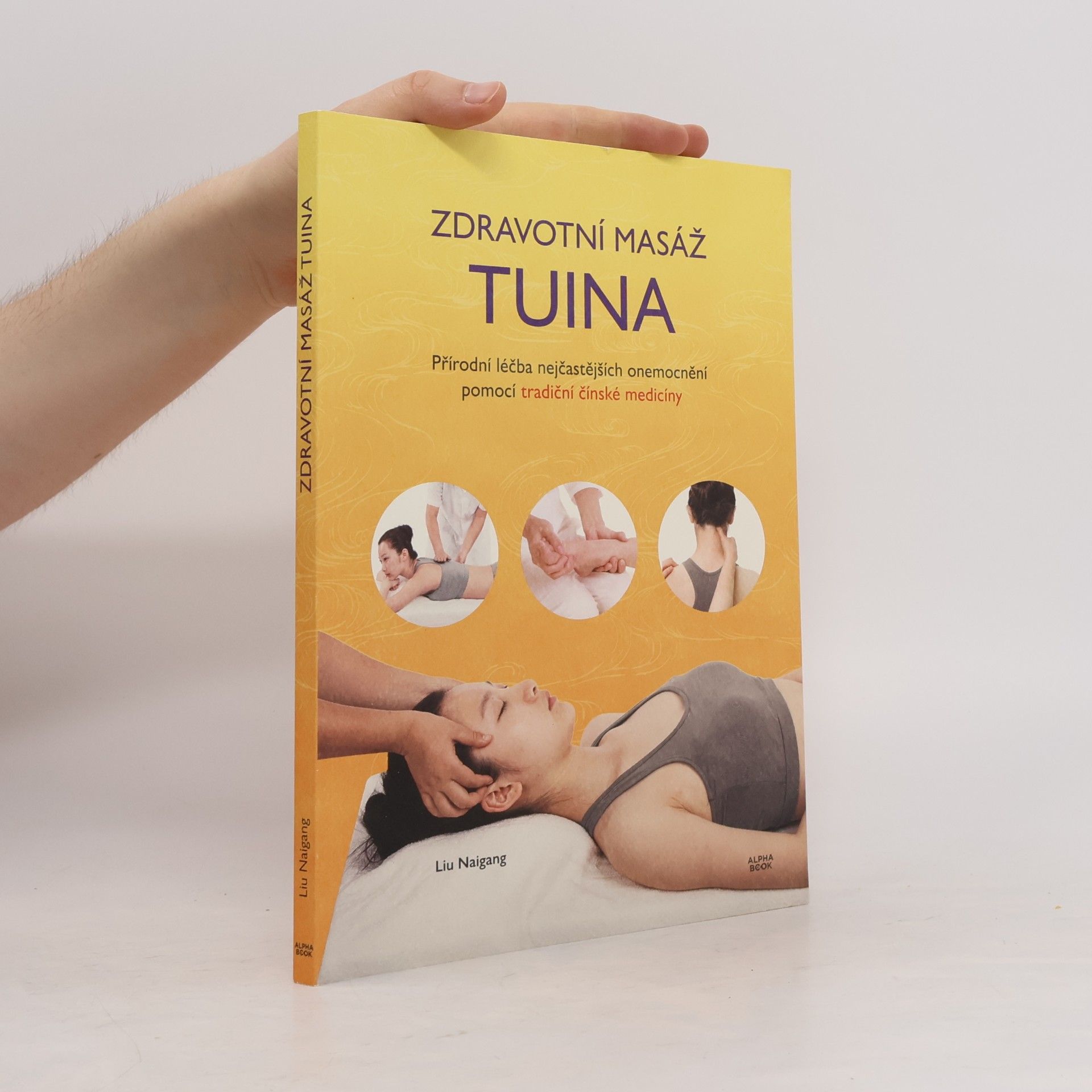 Lin Naigang Zdravotní masáž TUINA