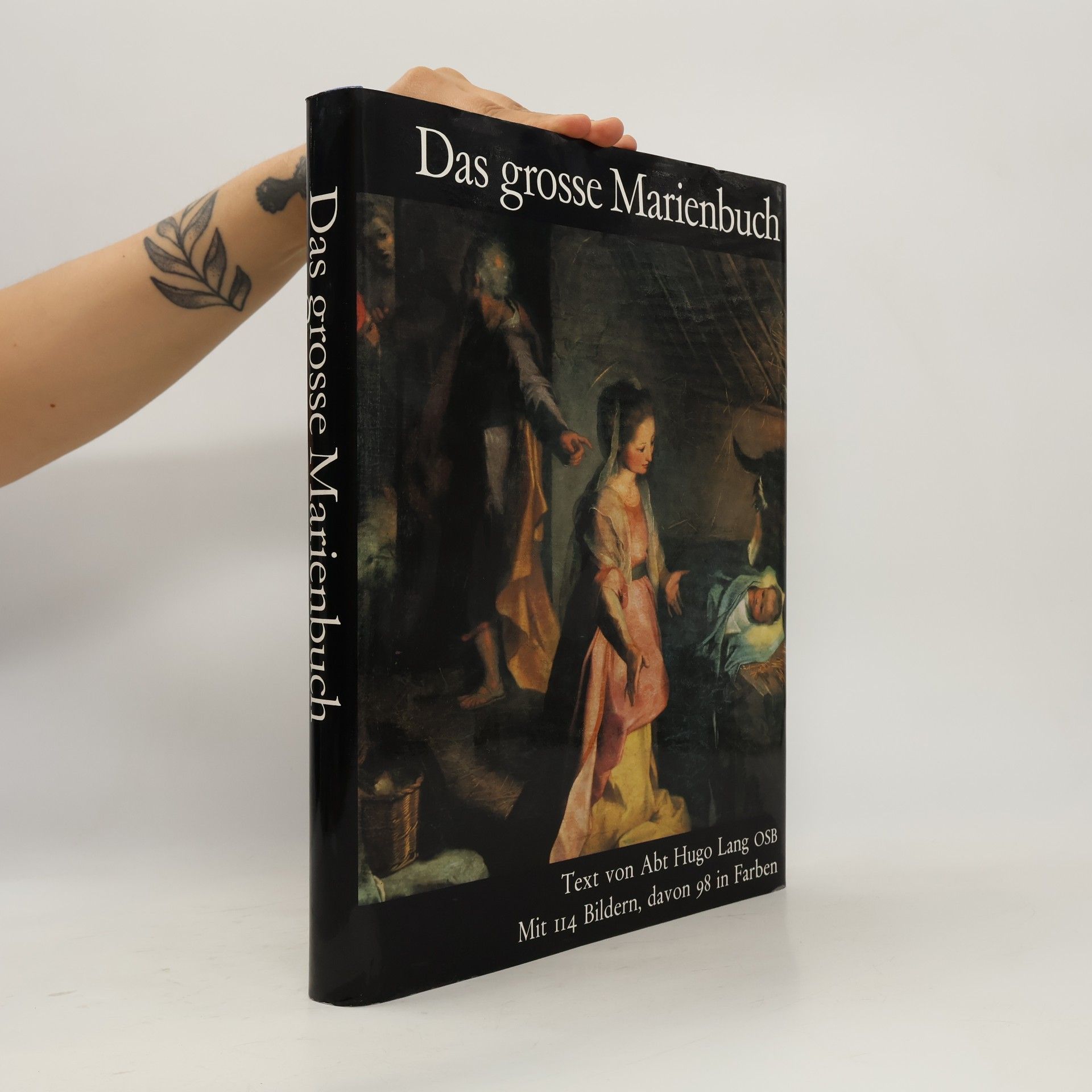 Hugo Lang Das grosse Marienbuch