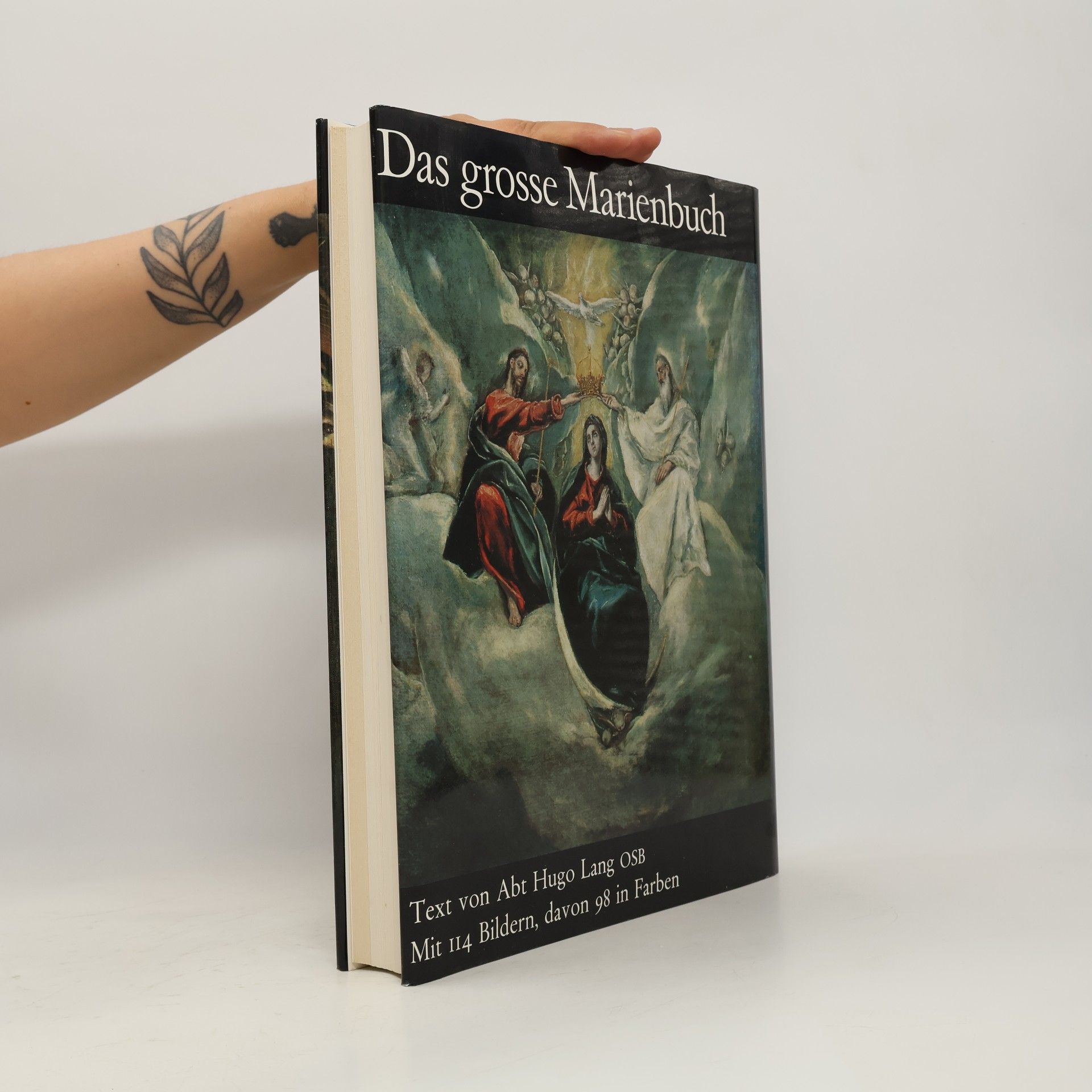 Hugo Lang Das grosse Marienbuch
