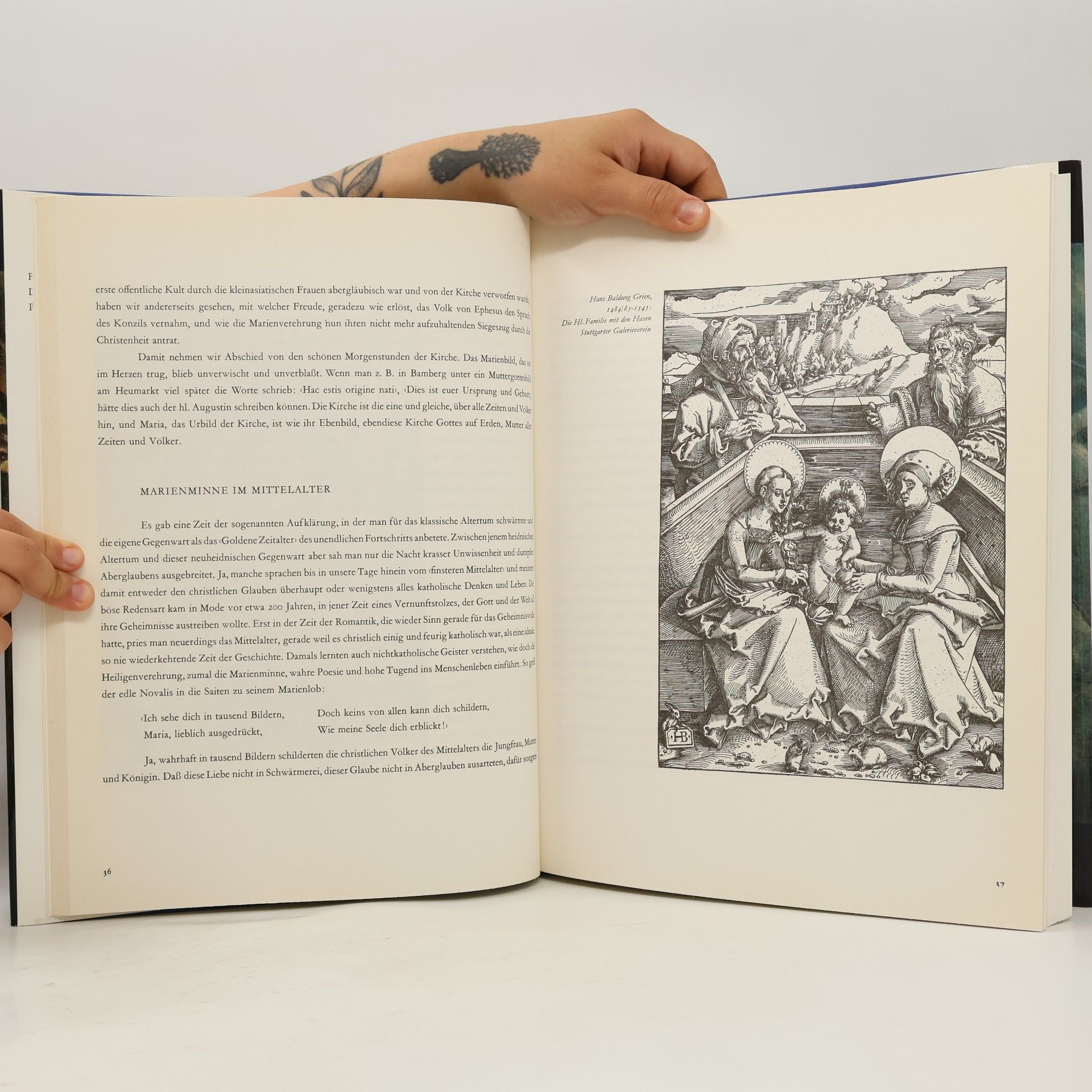 Hugo Lang Das grosse Marienbuch