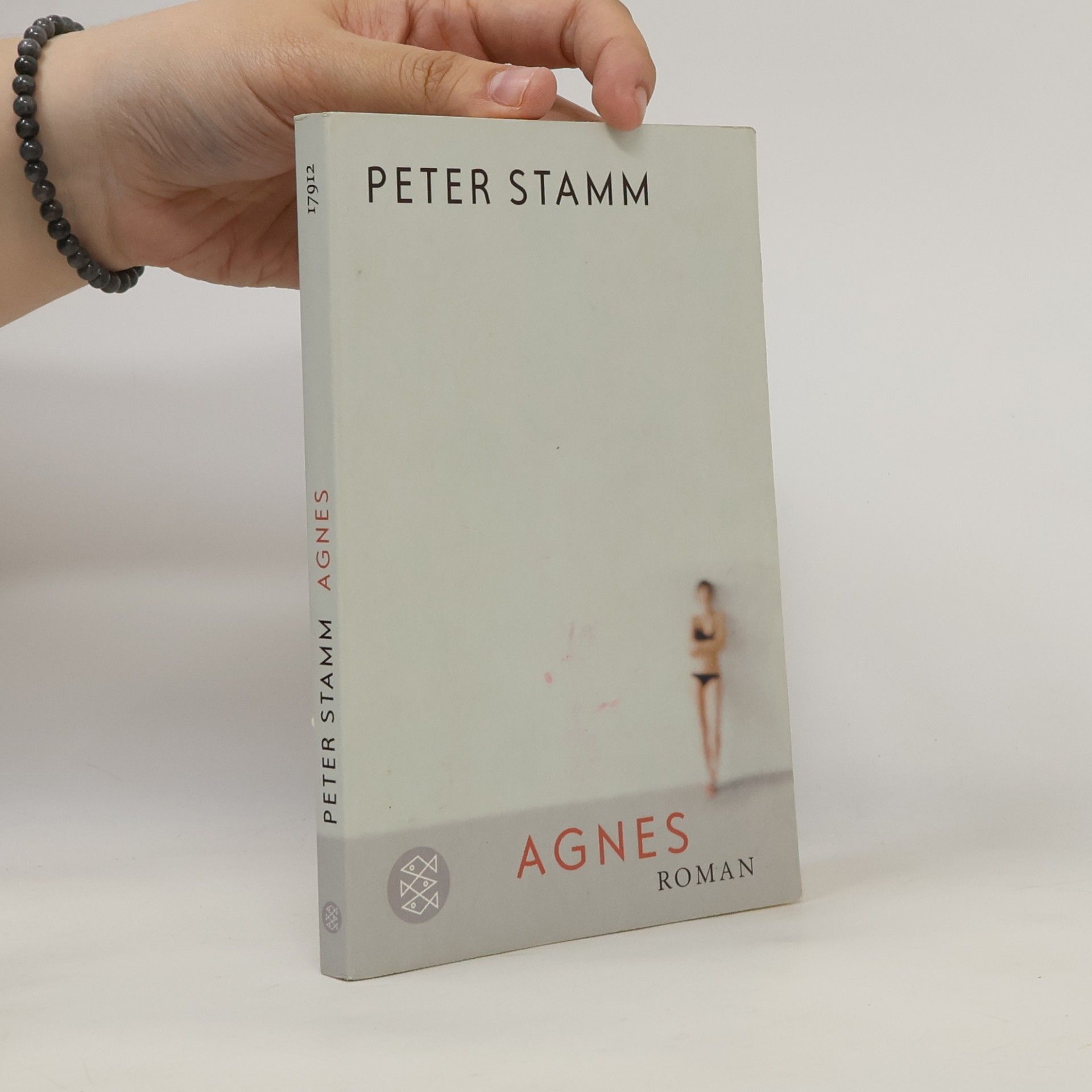 Peter Stamm Agnes