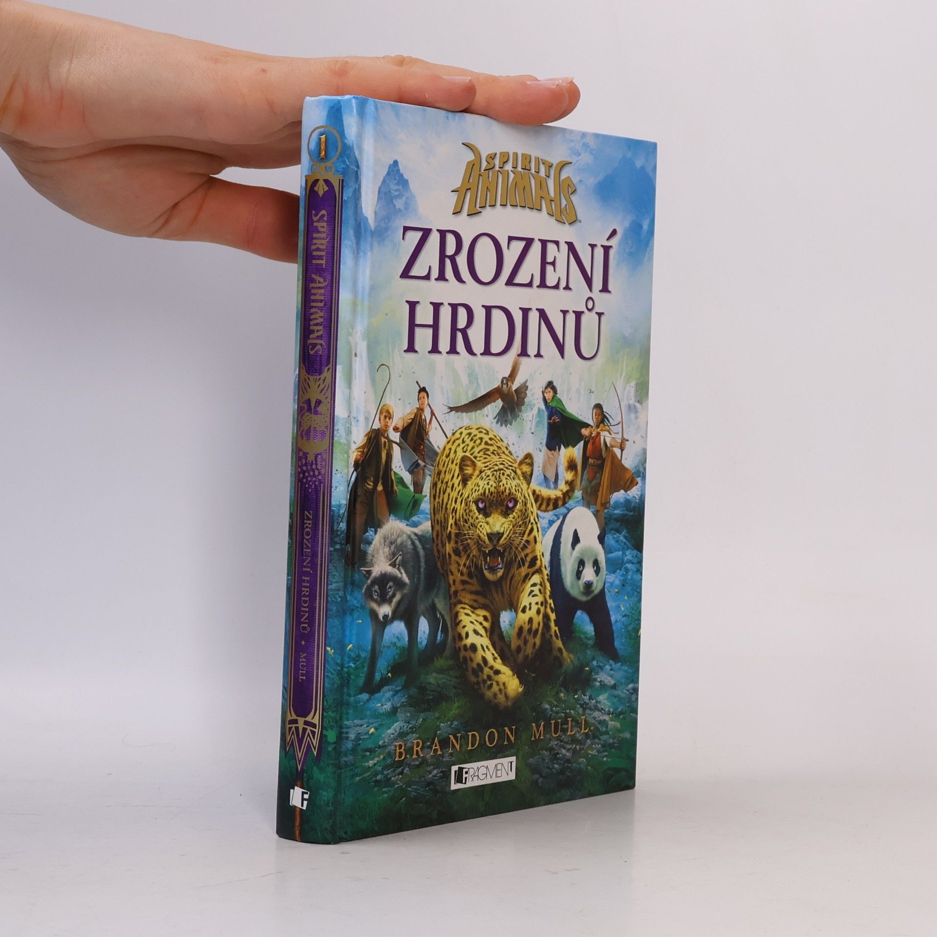 Brandon Mull Zrození hrdinů