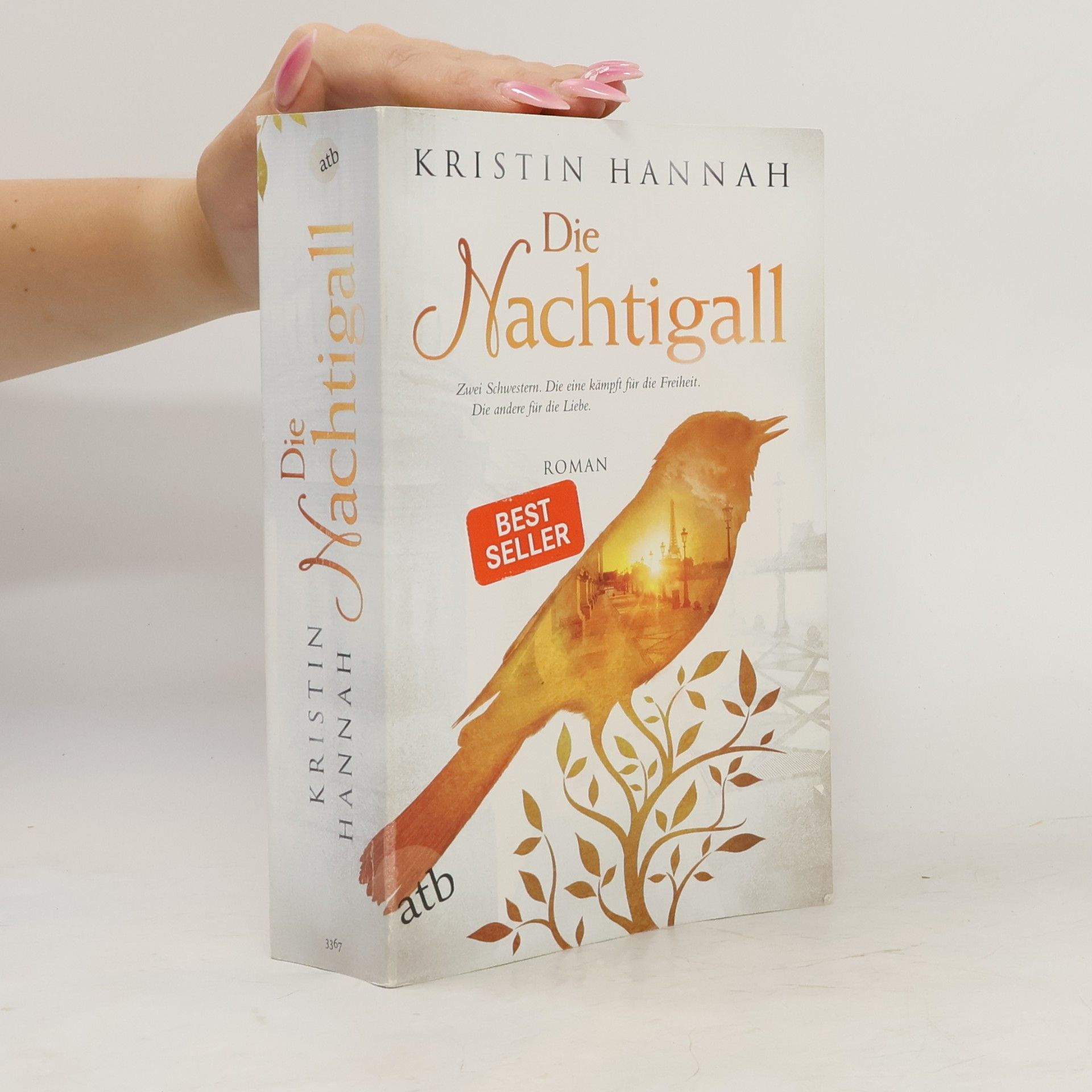 Kristin Hannah Die Nachtigall
