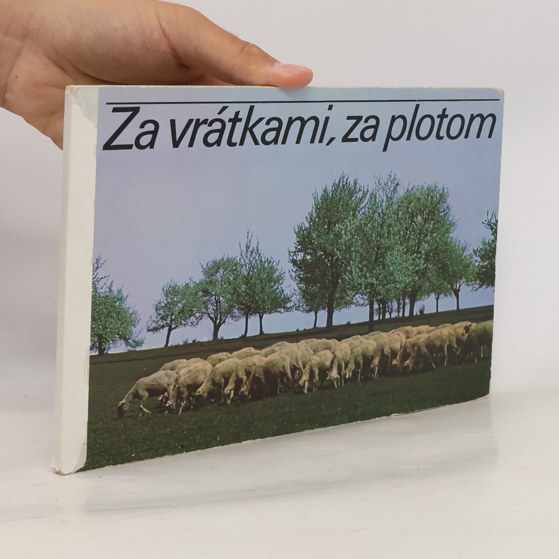 Julius Kontár Za vrátky, za plotem