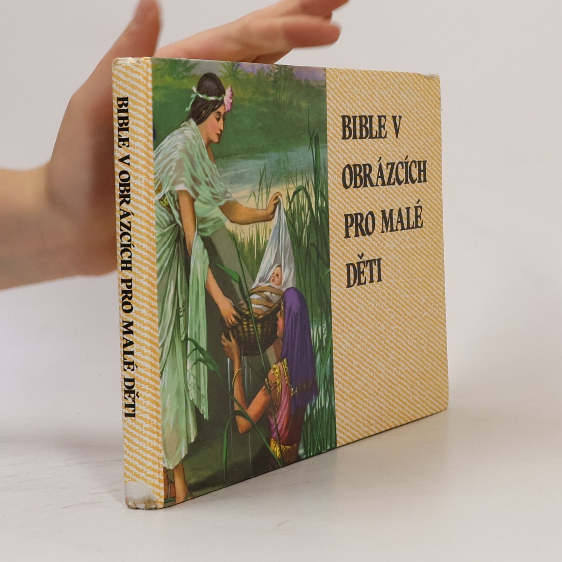 Kenneth Taylor Bible v obrázcích pro malé děti