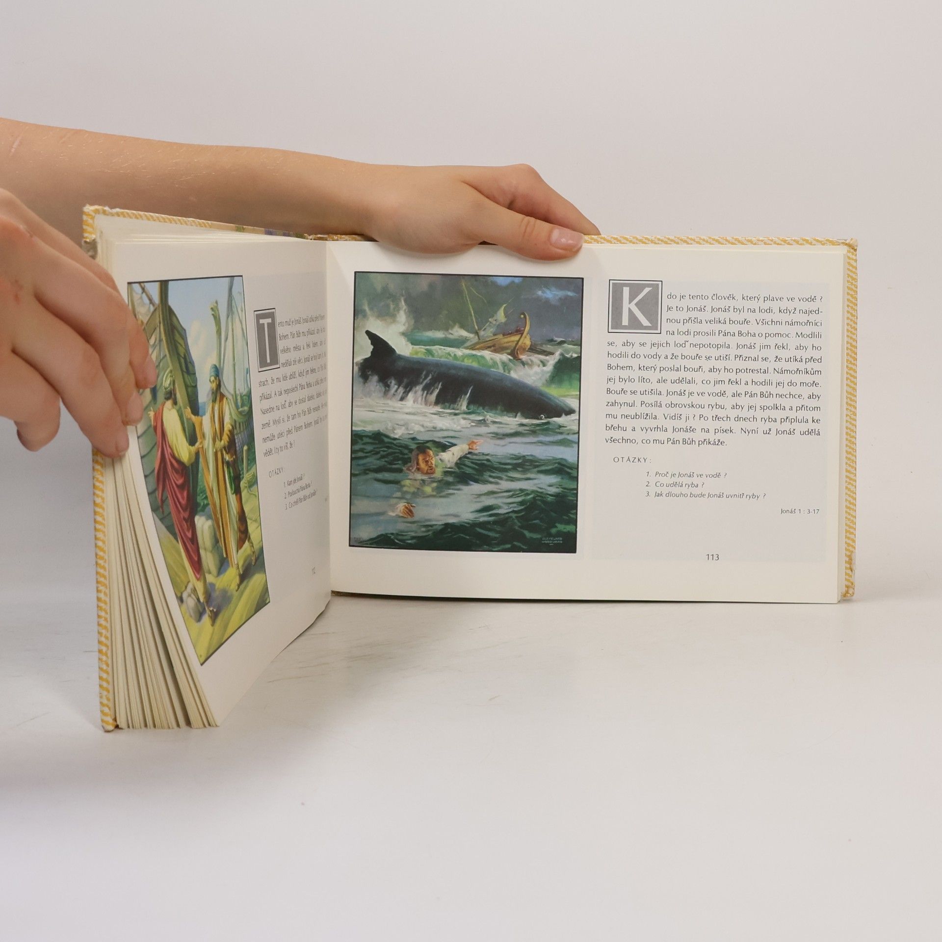 Kenneth N. Taylor Bible v obrázcích pro malé děti