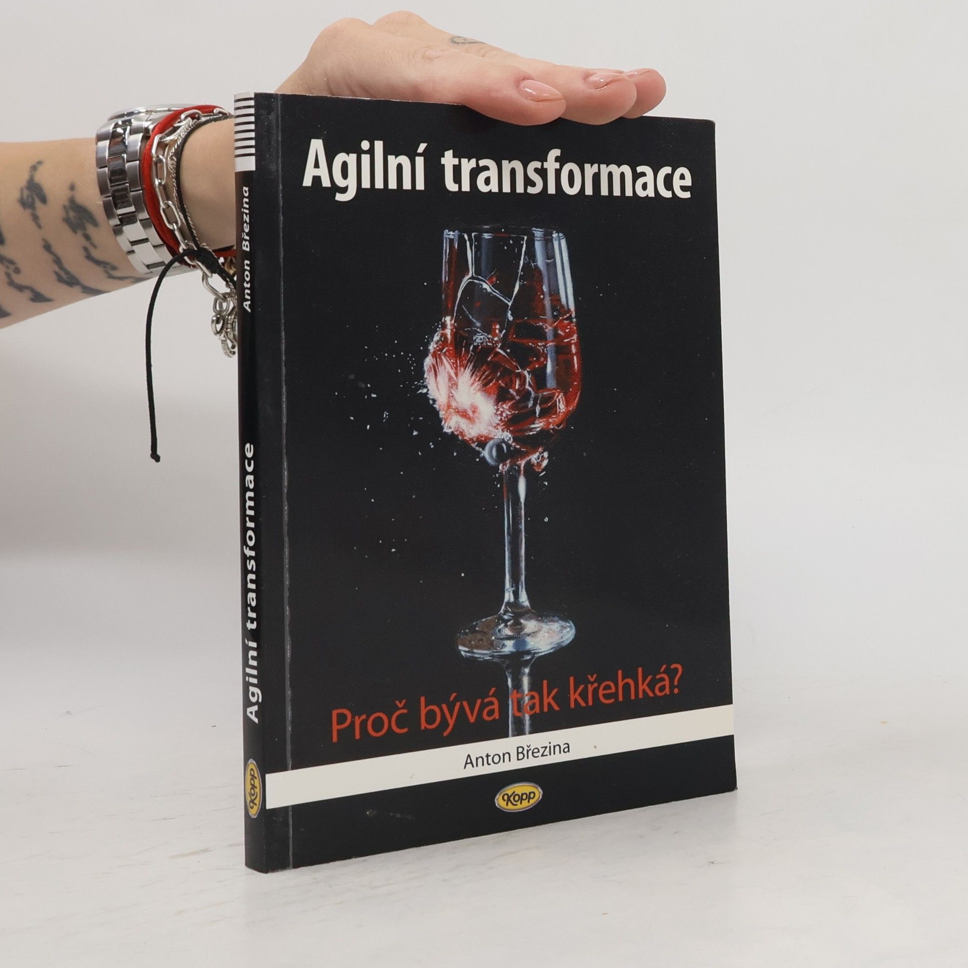 Anton Březina Agilní transformace - proč bývá tak křehká?