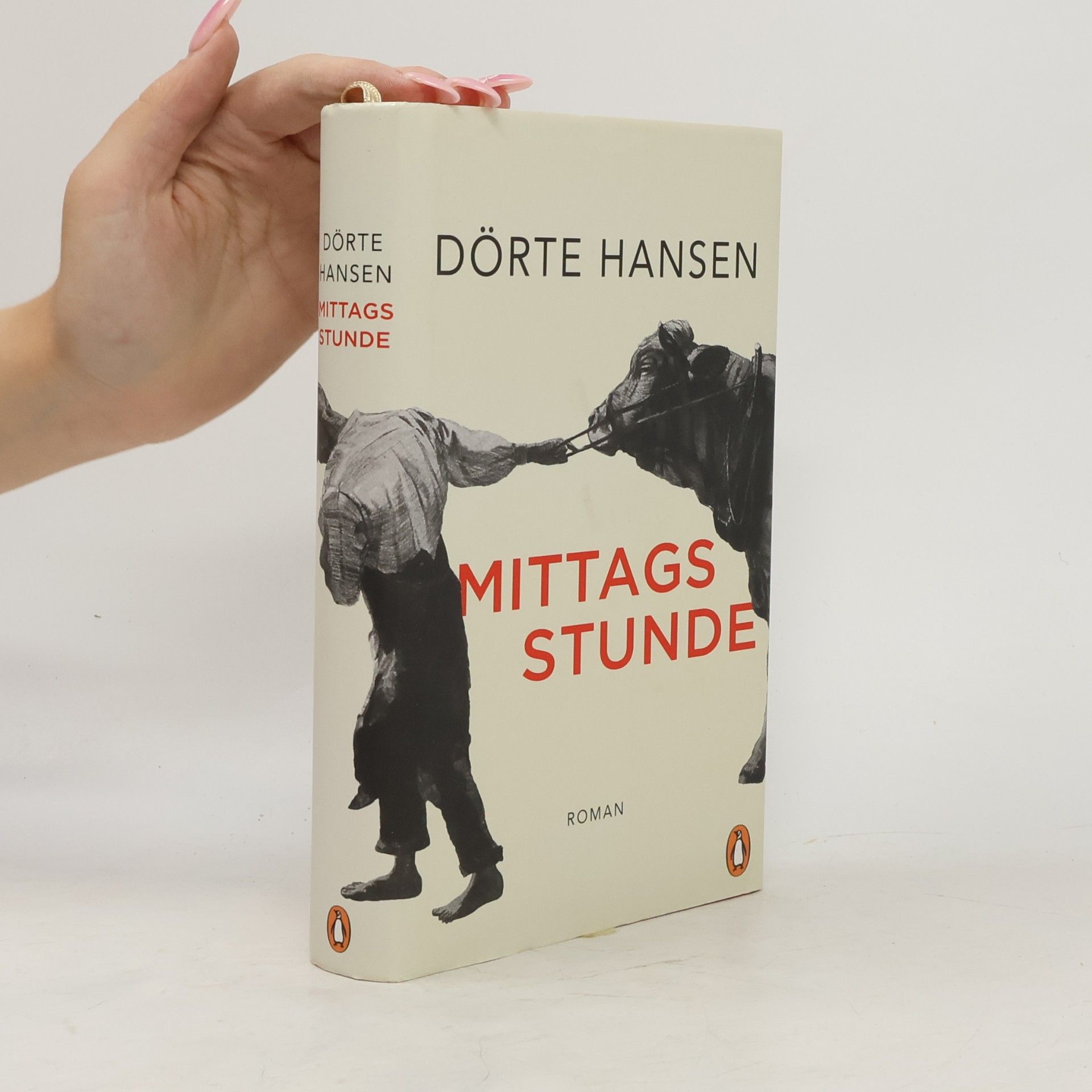 Dörte Hansen Mittagsstunde