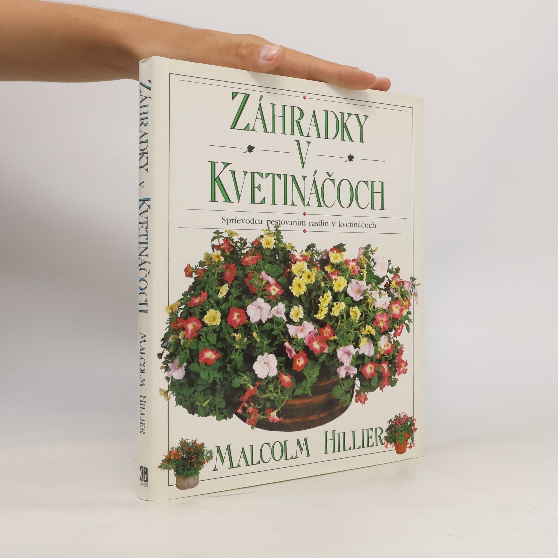 Malcolm Hillier Záhradky v kvetináčoch