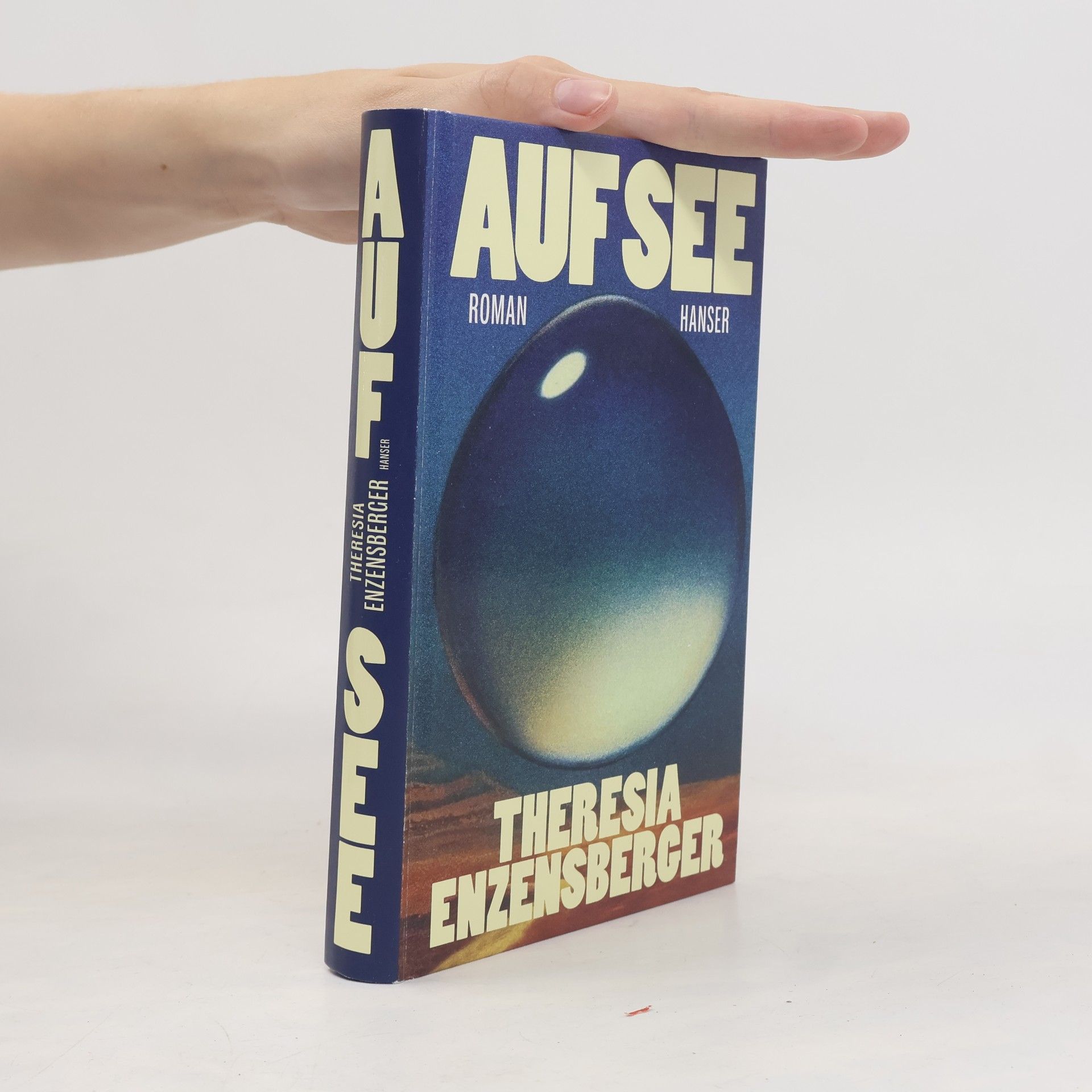 Theresia Enzensberger Auf See