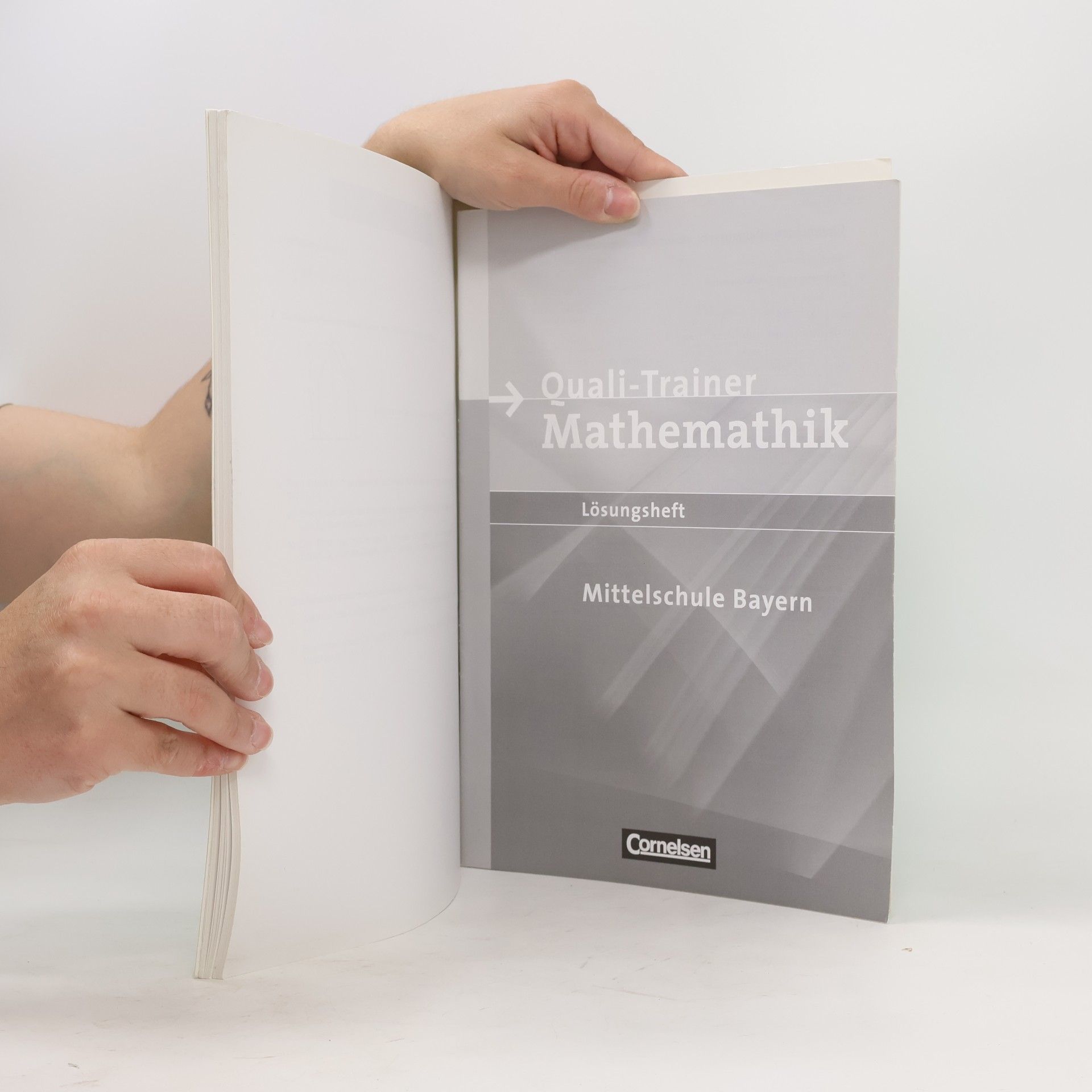Hans-Reinhard Fischer Quali-Trainer Mathematik, Hauptschule Bayern: Arbeitsheft mit Lösungen für Schülerinnen und Schüler