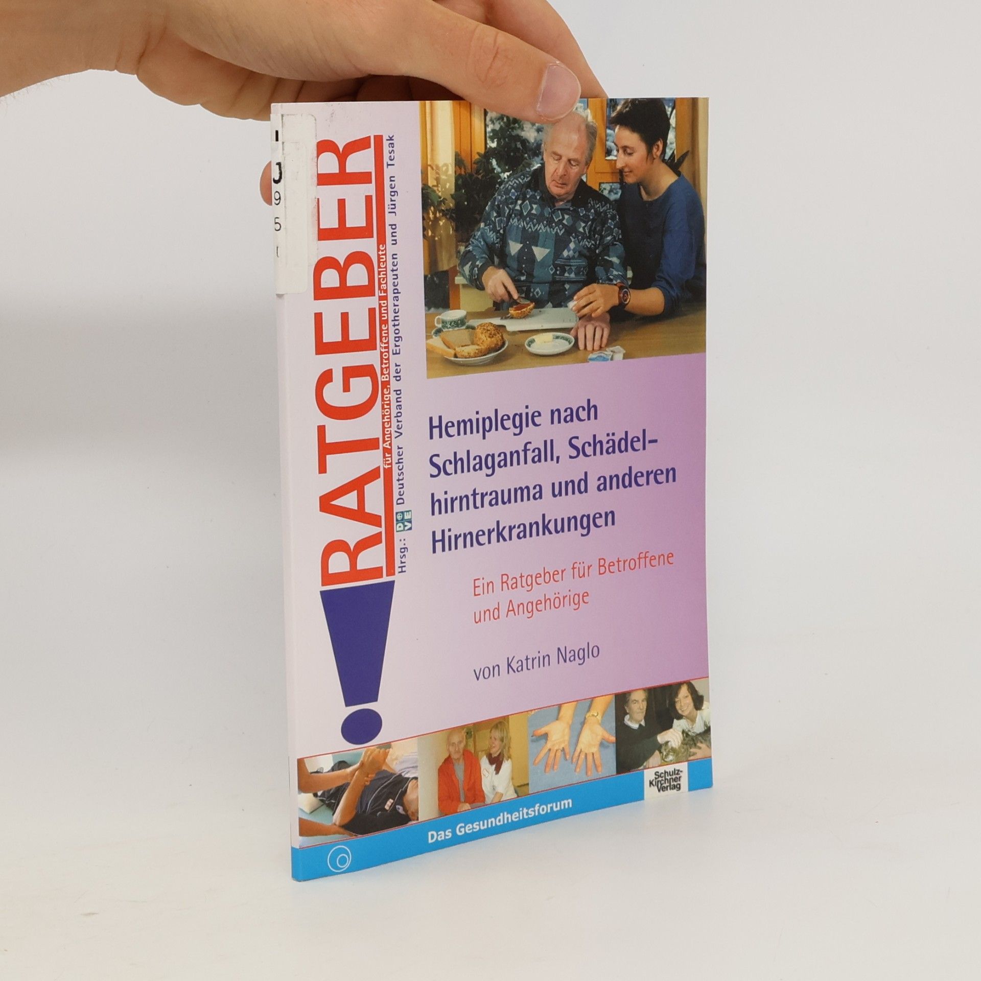 DD Deutscher Verband der Ergotherapeuten Ratgeber für Angehörige, Betroffene und Fachleute: Hemiplegie nach Schlaganfall, Schädelhirntrauma und anderen Hirnerkrankungen