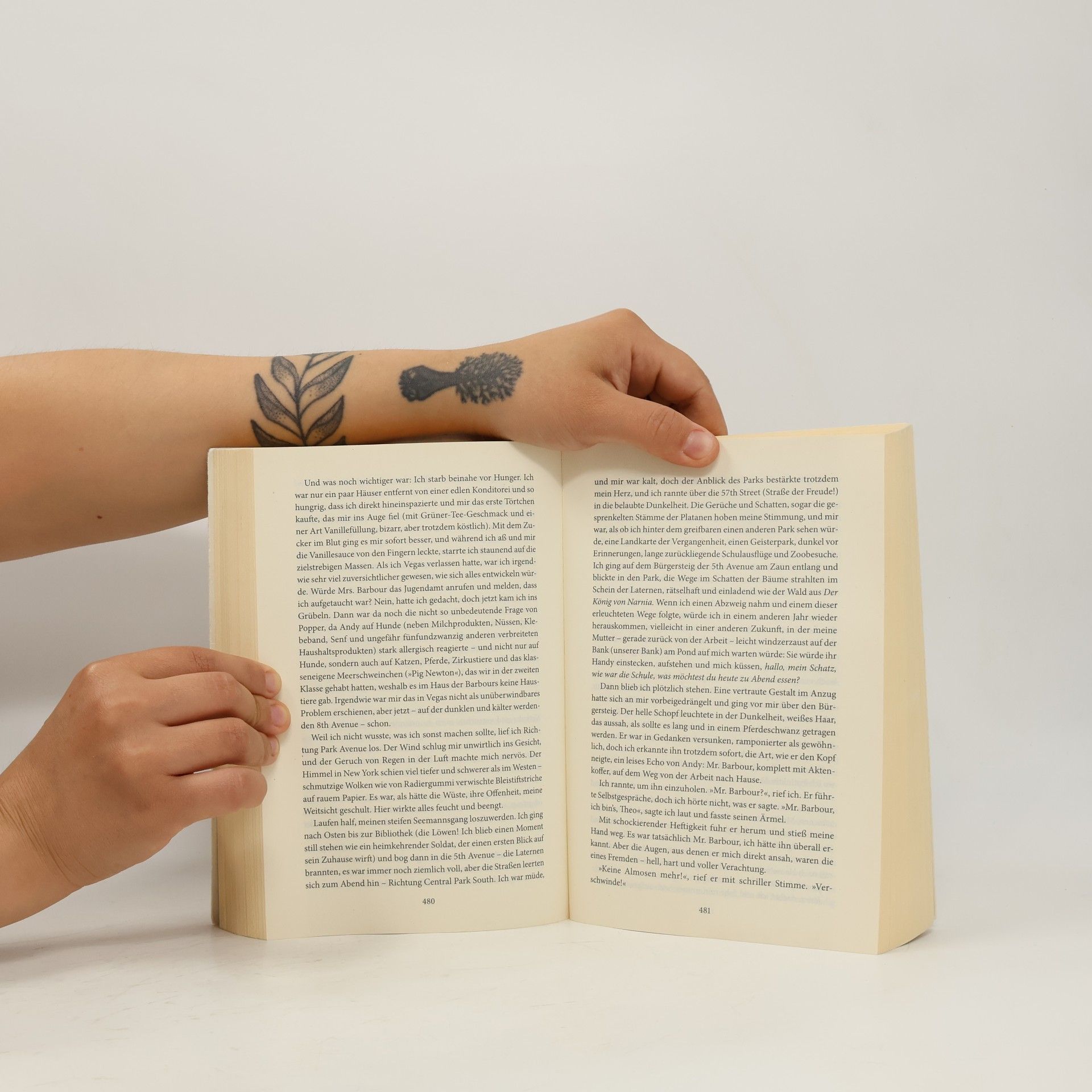Donna Tartt Der Distelfink