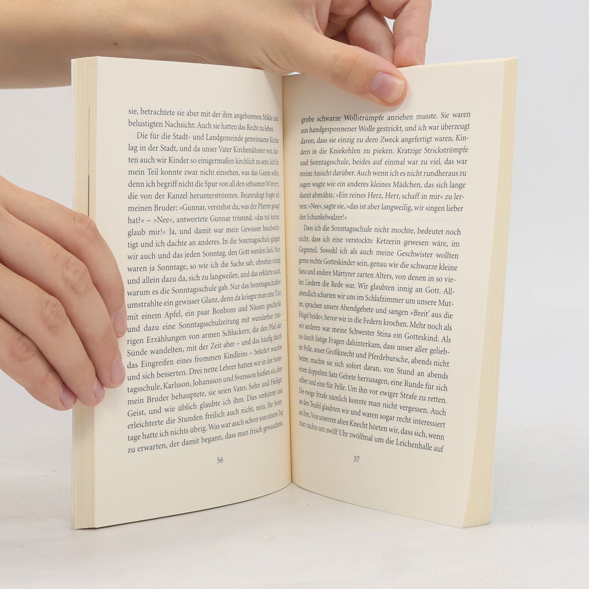 Astrid Lindgren Das entschwundene Land