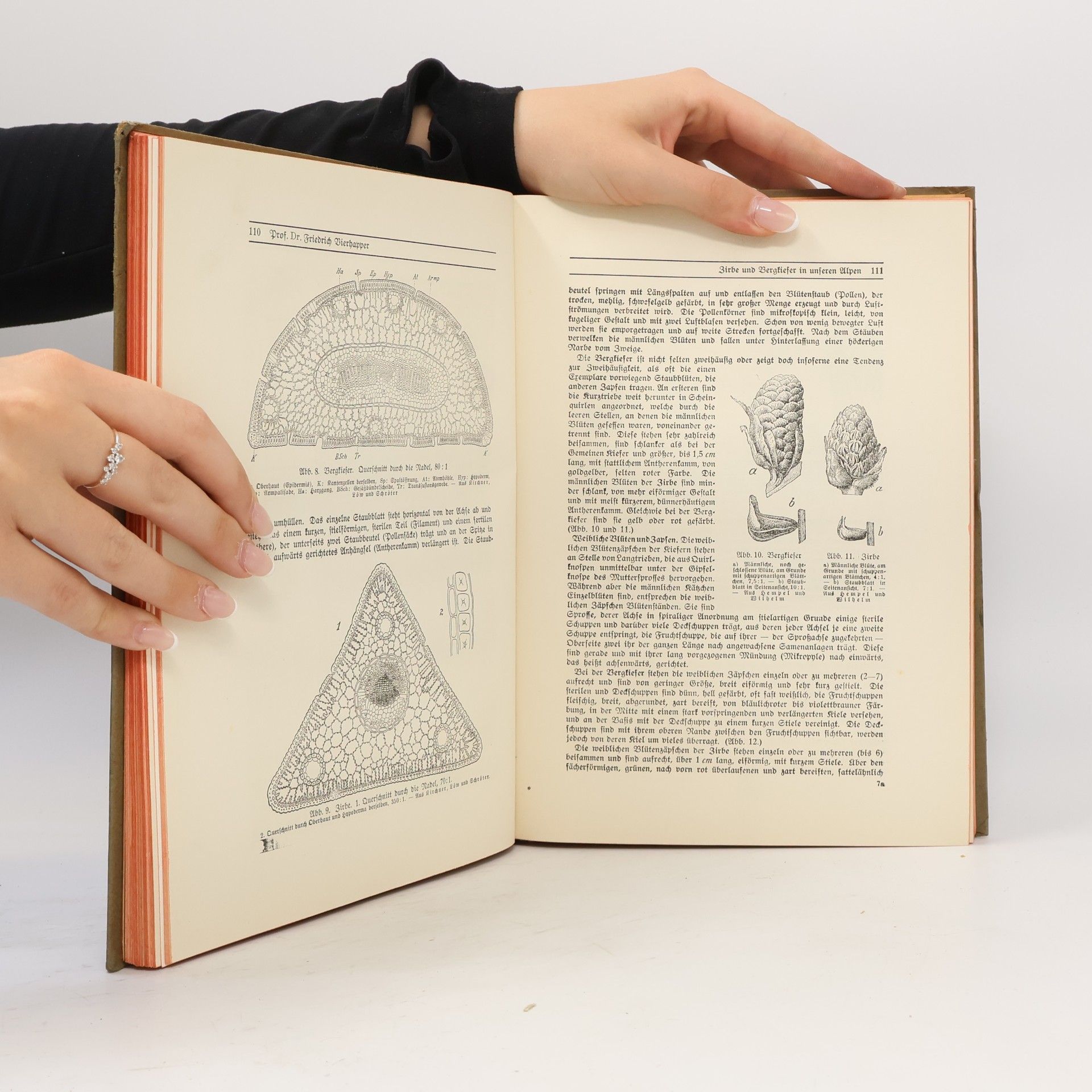 Autorenkollektiv Zeitschrift des Deutschen und Österreichischen Alpenvereins. Band 46