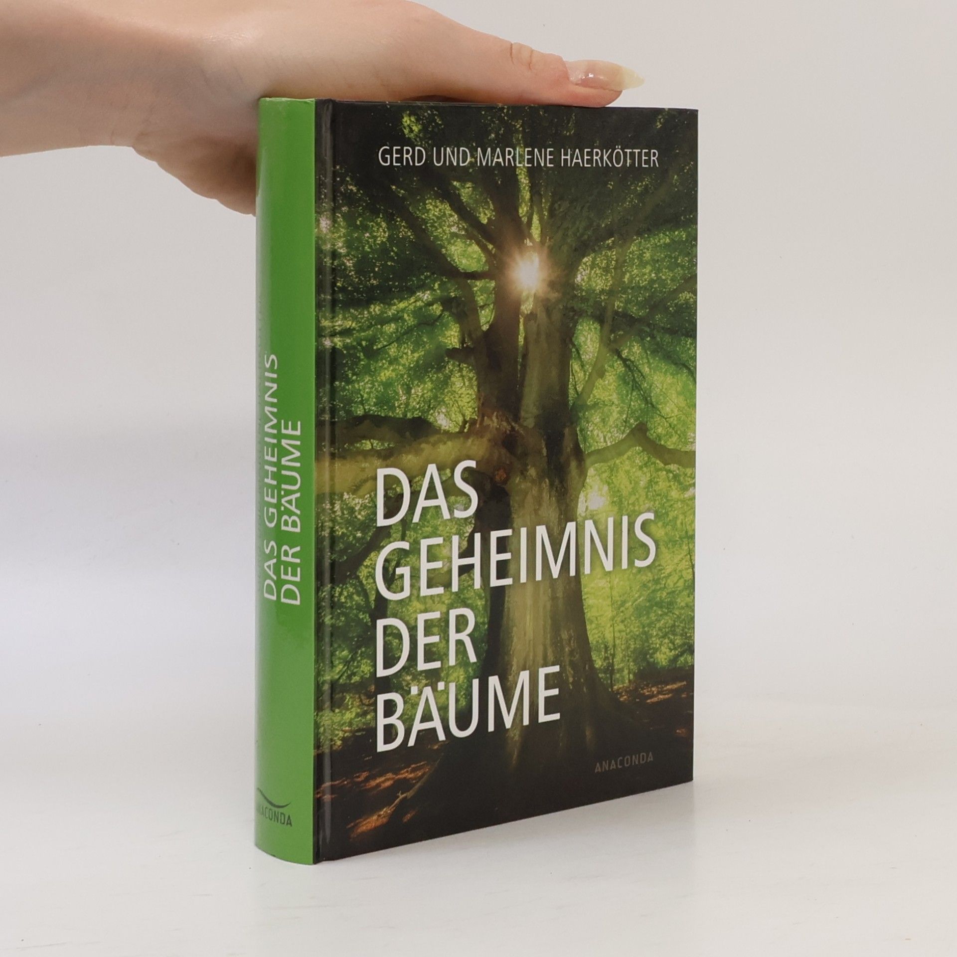 Das Geheimnis der Bäume