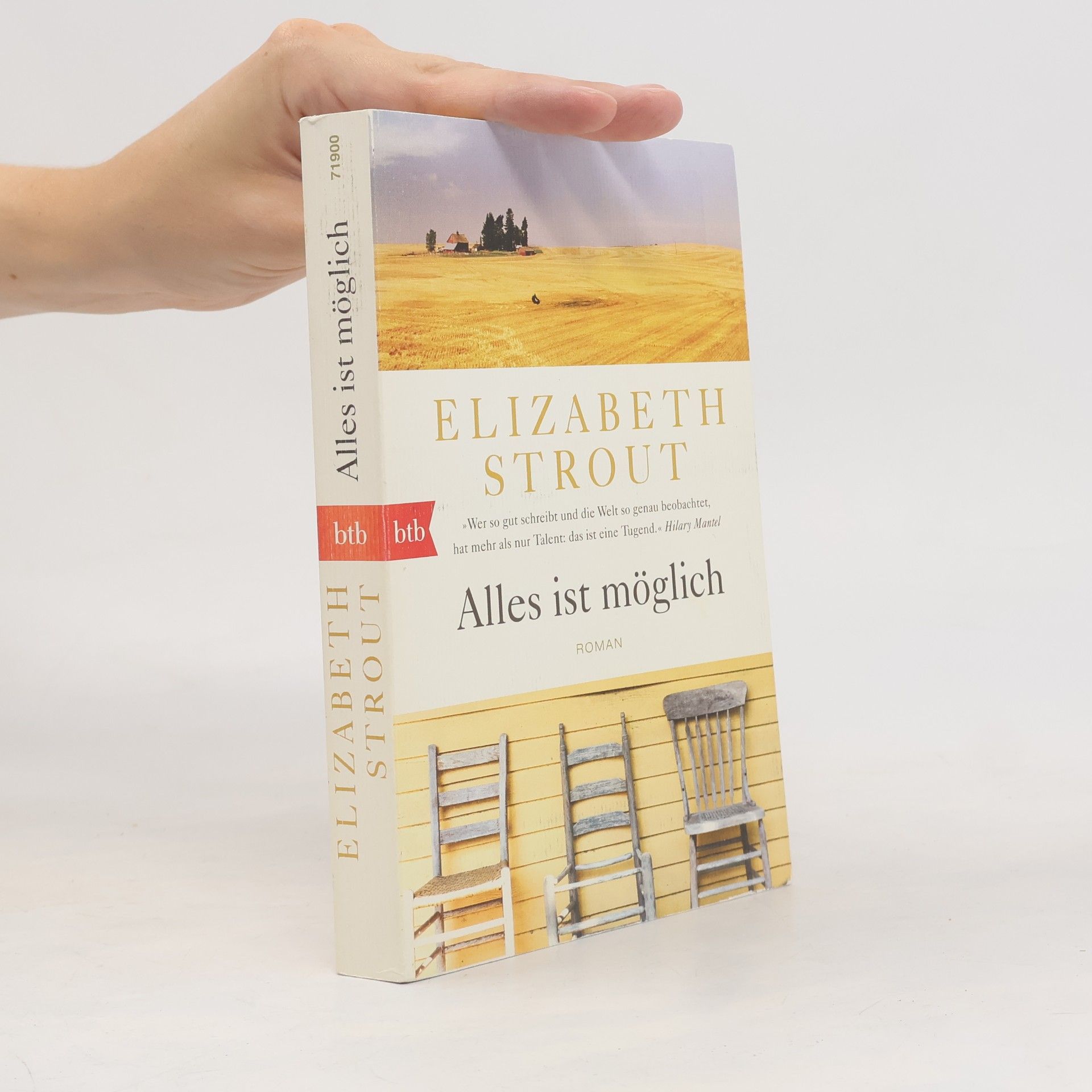 Elizabeth Strout Alles ist möglich
