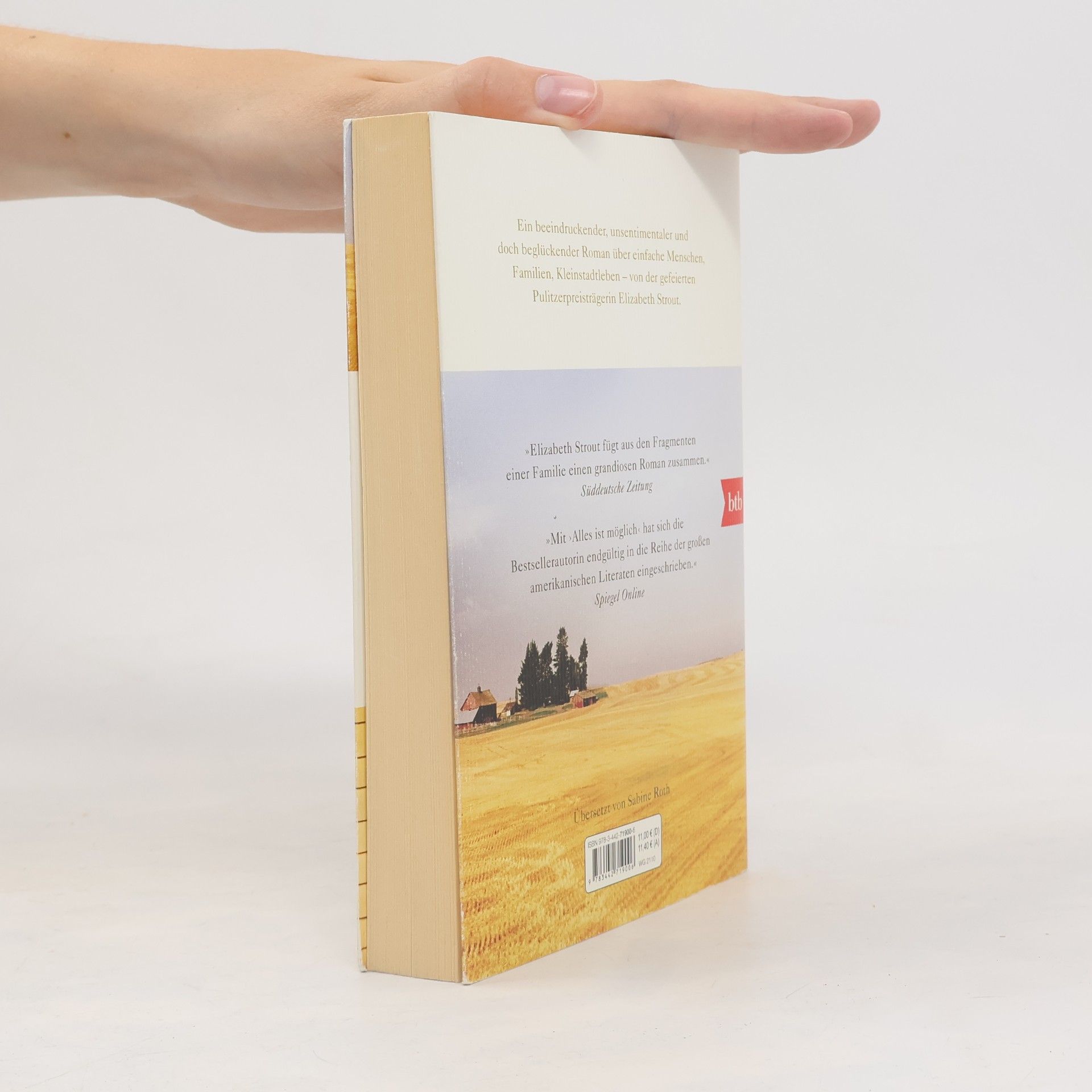 Elizabeth Strout Alles ist möglich