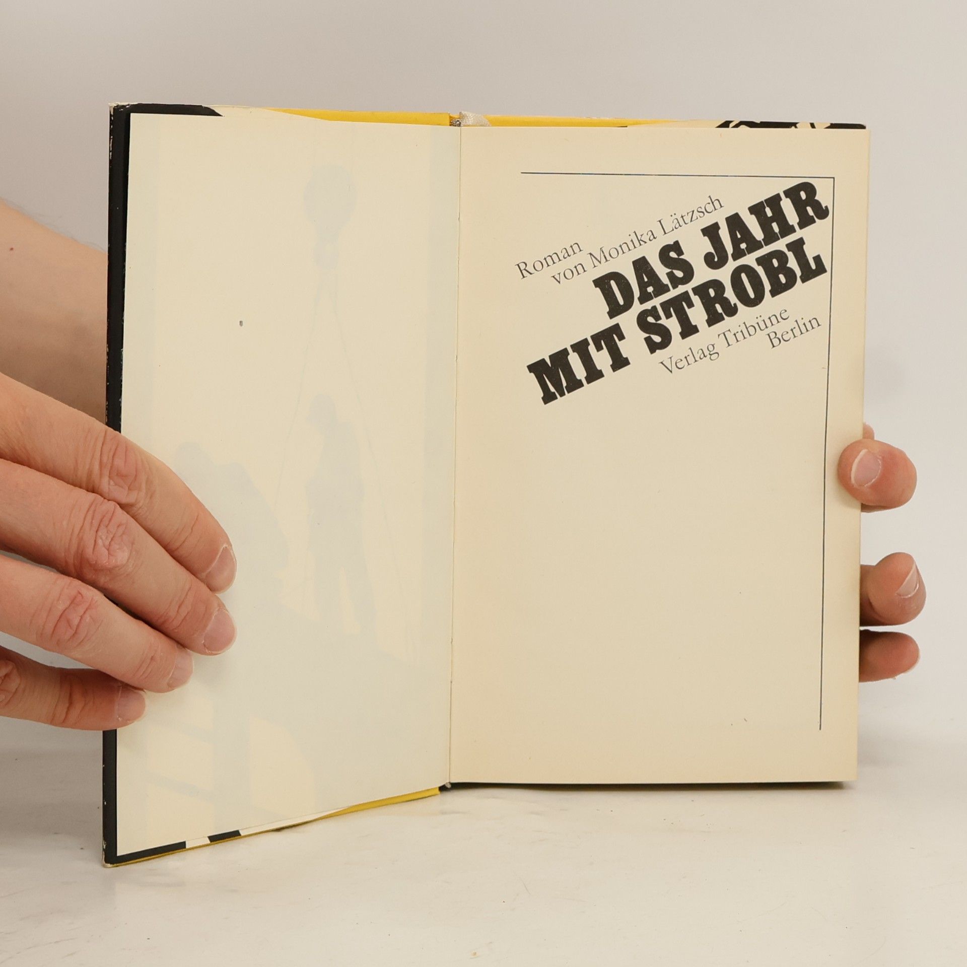 Monika Lätzsch Das Jahr mit Strobl