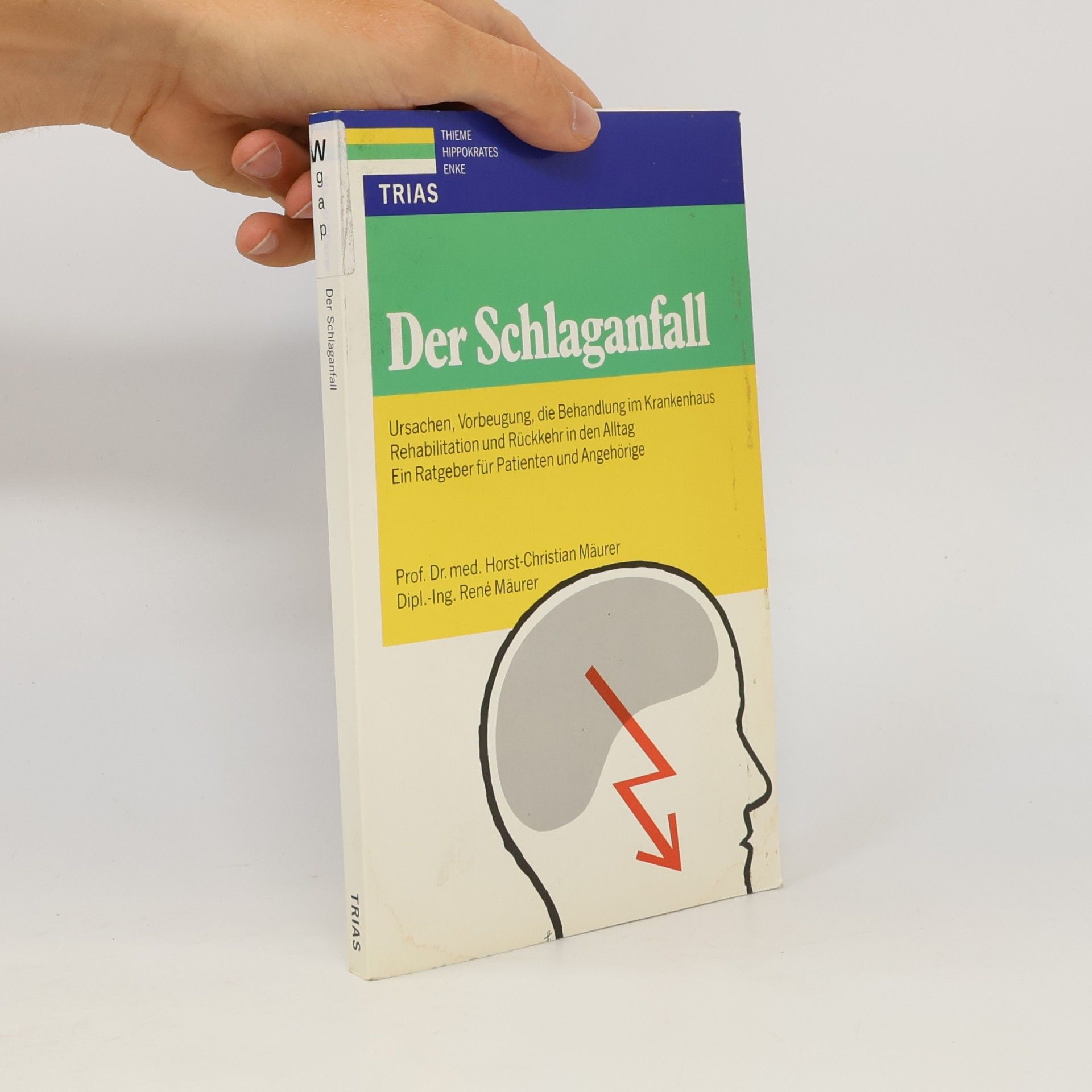 Christian Horst Der Schlaganfall