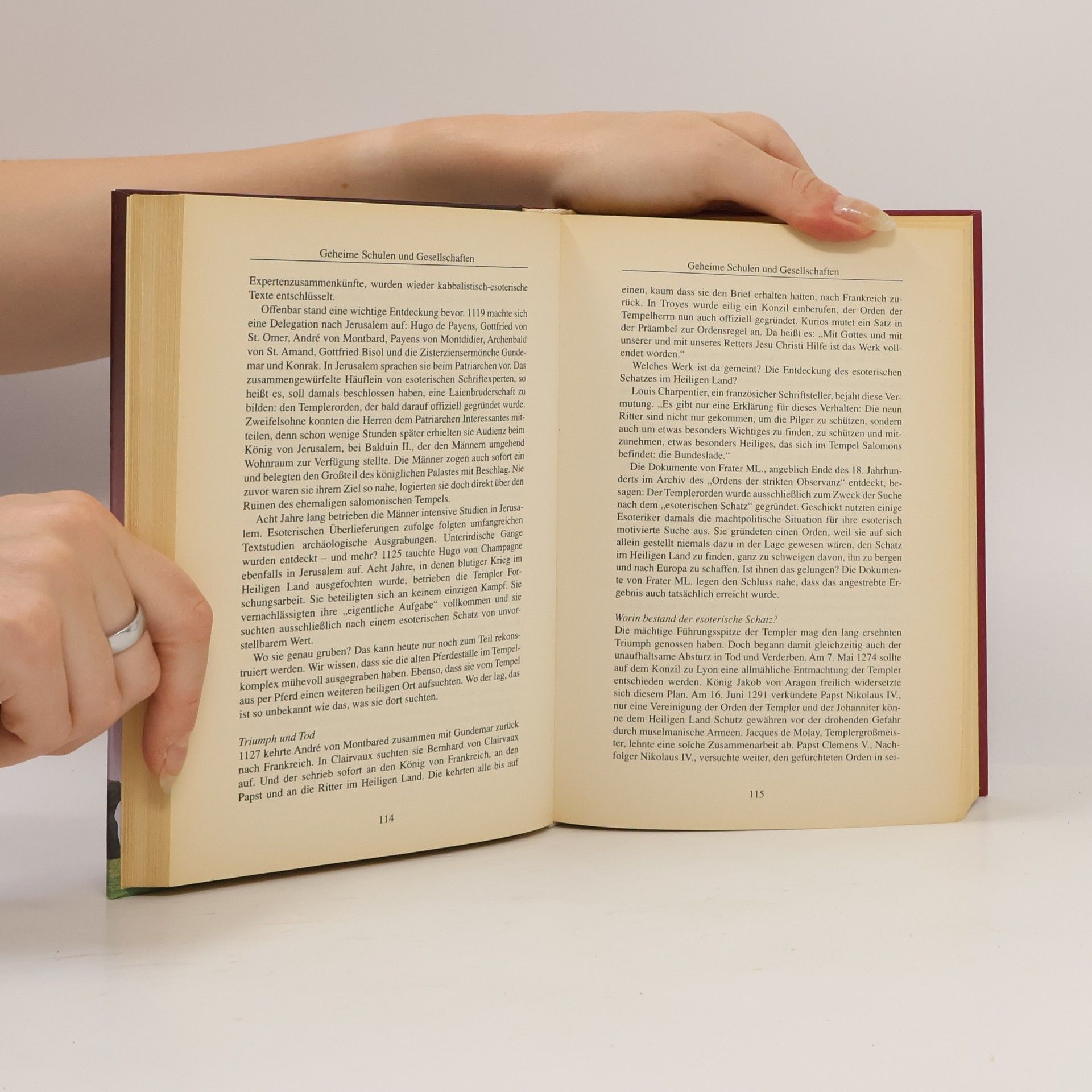 Walter-Jörg Langbein Das große Buch der Esoterik