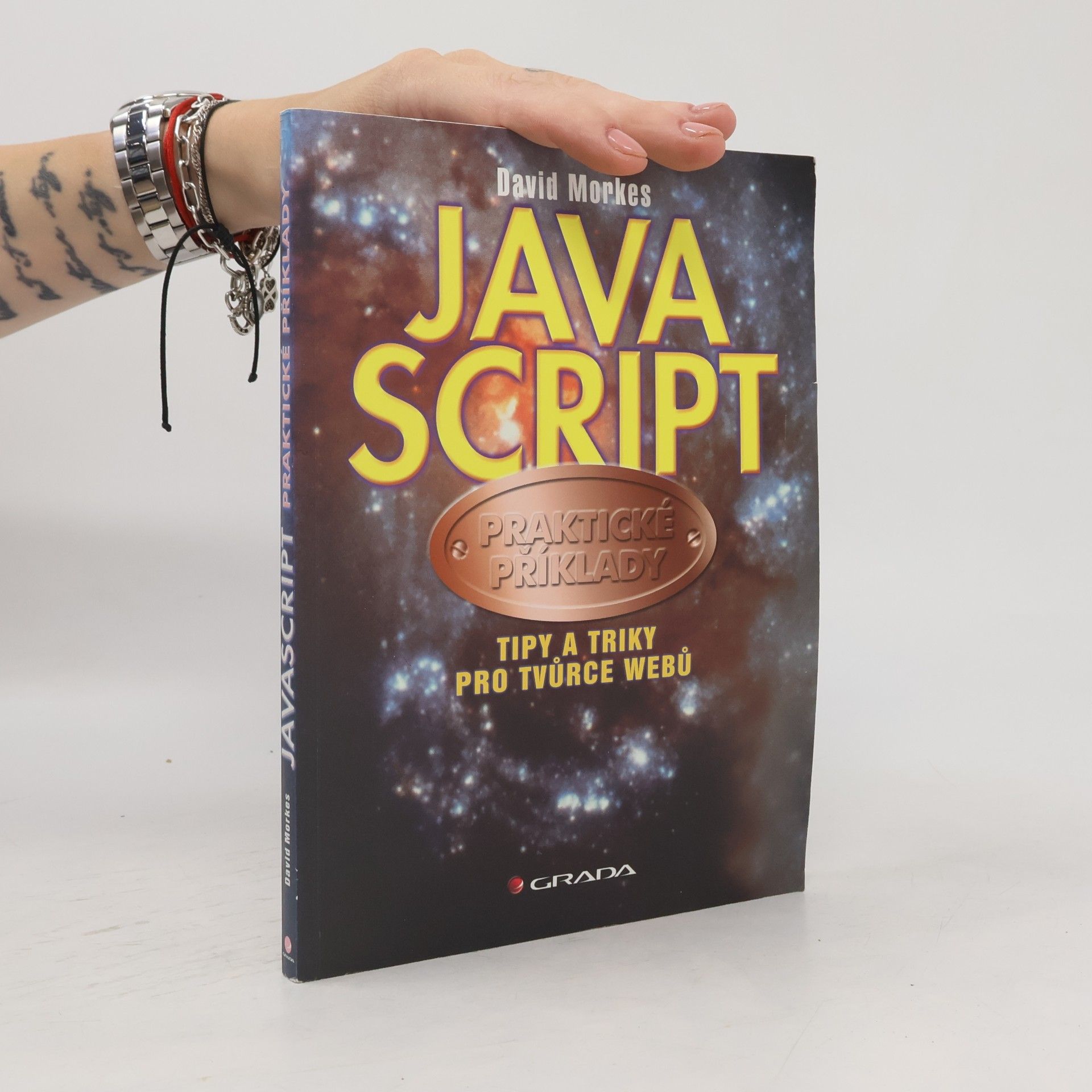 David Morkes JavaScript: Praktické příklady: Tipy a triky pro tvůrce webů