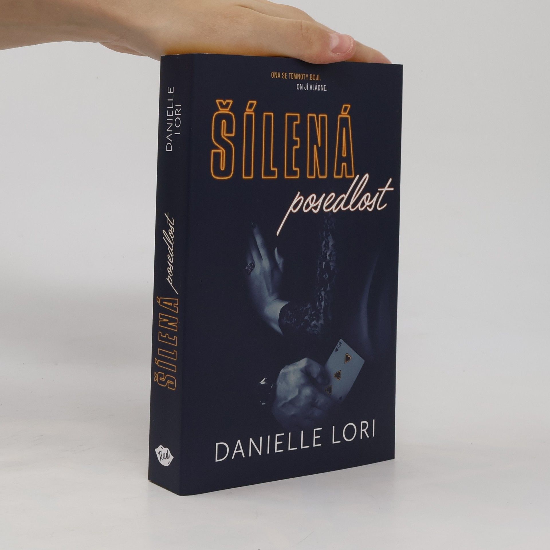 Danielle Lori Šílená posedlost