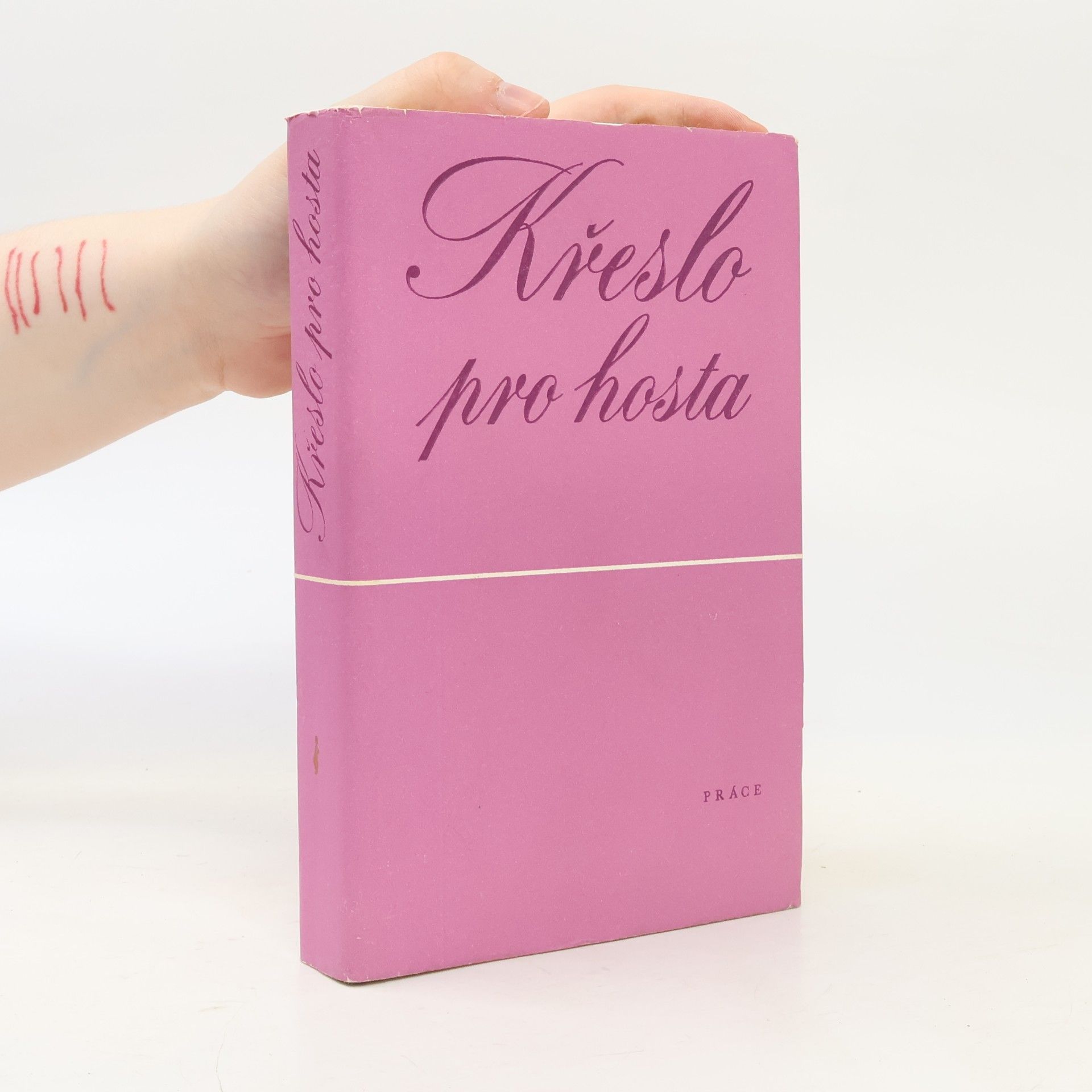 Křeslo pro hosta