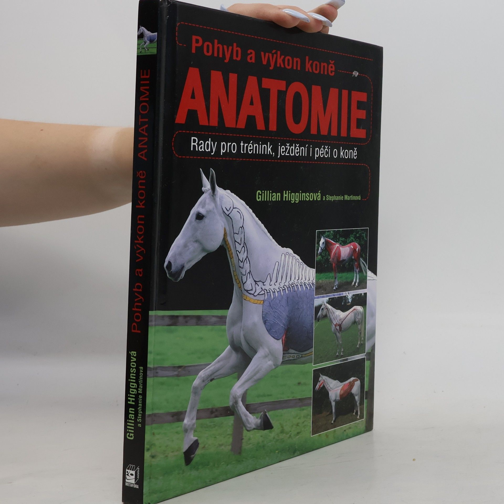 Gillian Higgins Pohyb a výkon koně. Anatomie