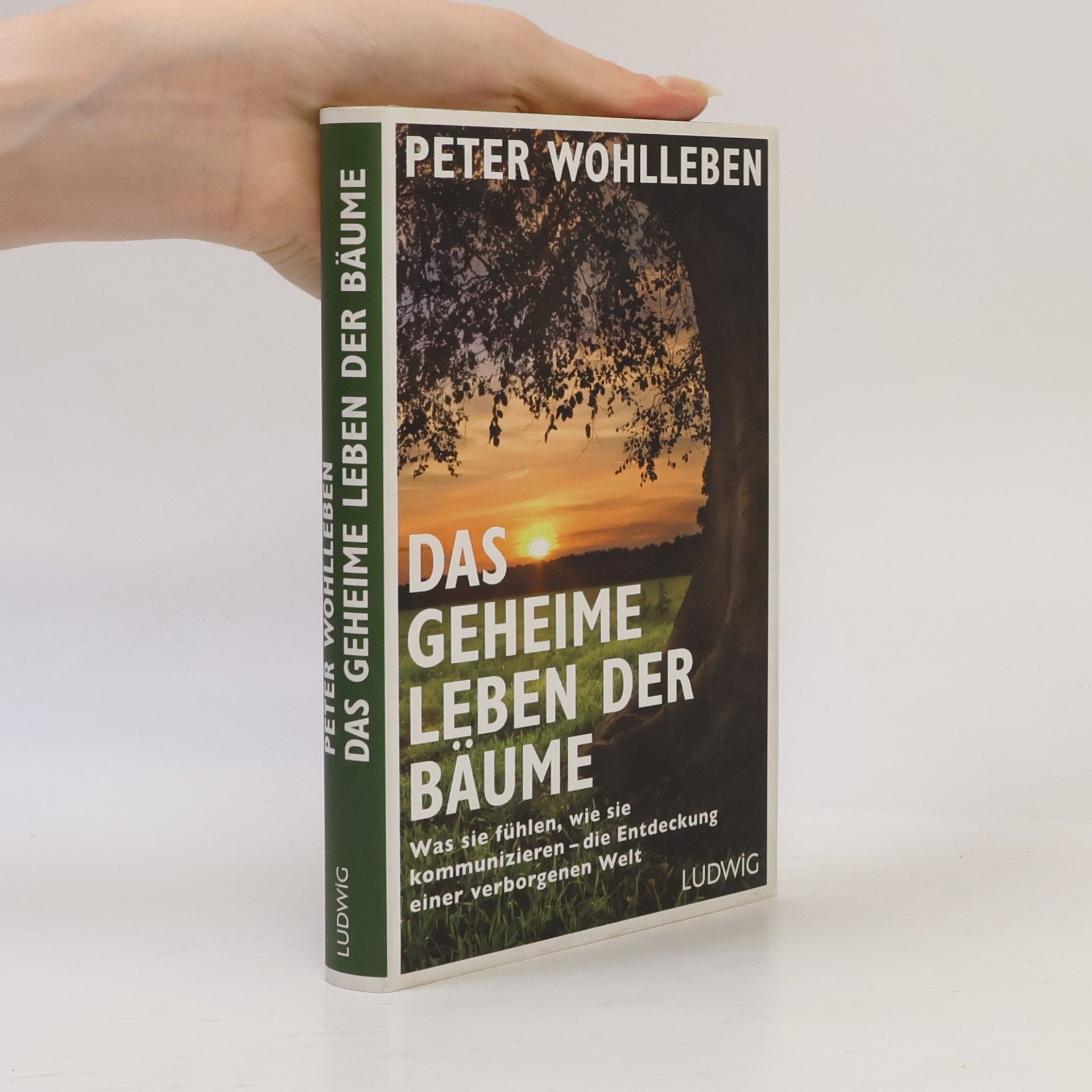 Peter Wohlleben Das geheime Leben der Bäume
