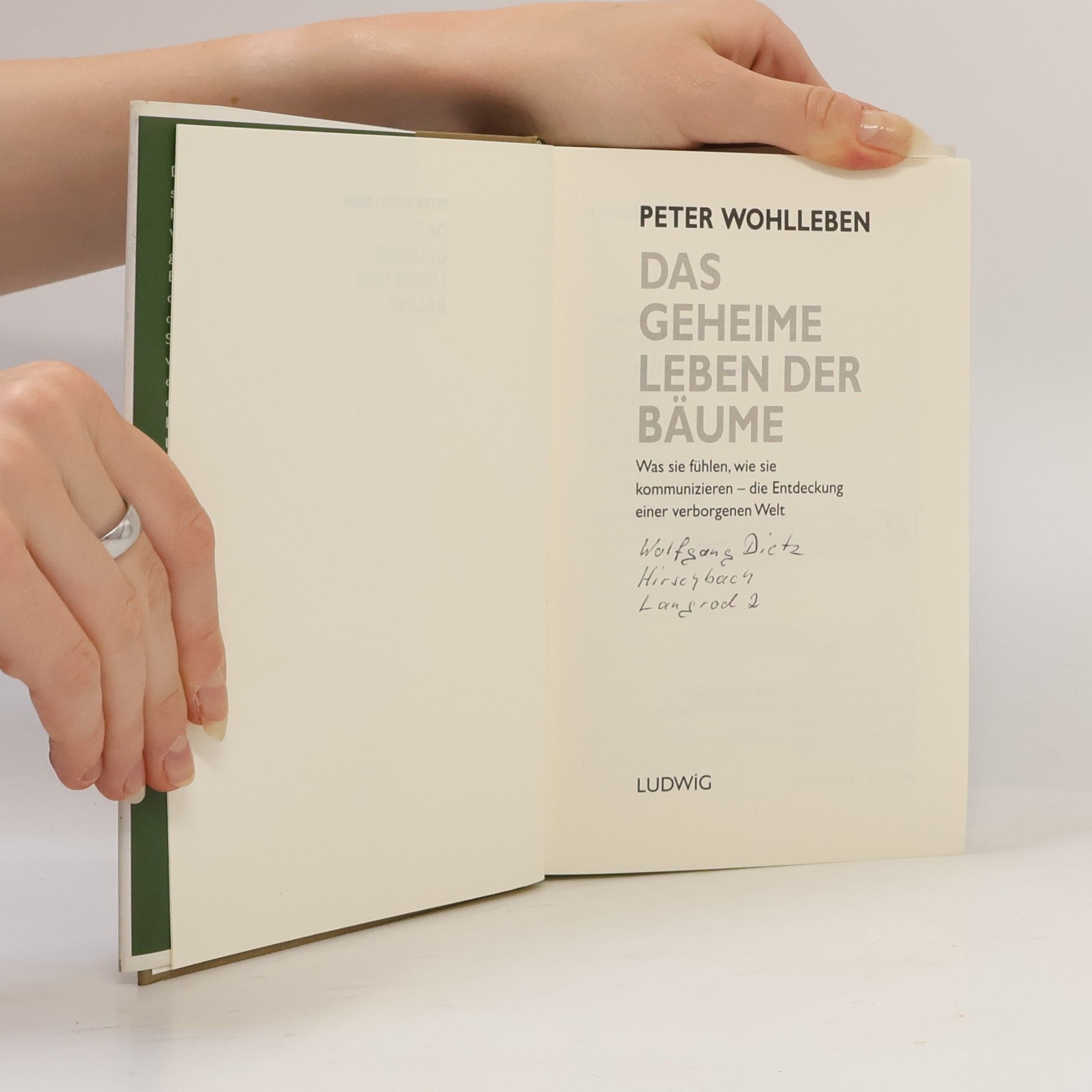 Peter Wohlleben Das geheime Leben der Bäume