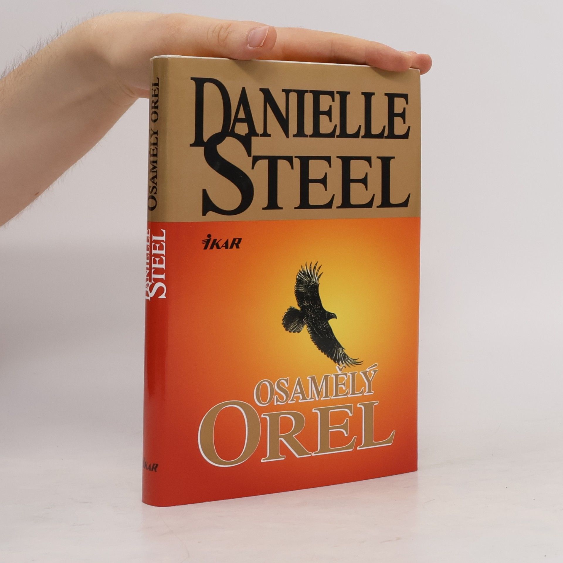 Danielle Steel Osamělý orel