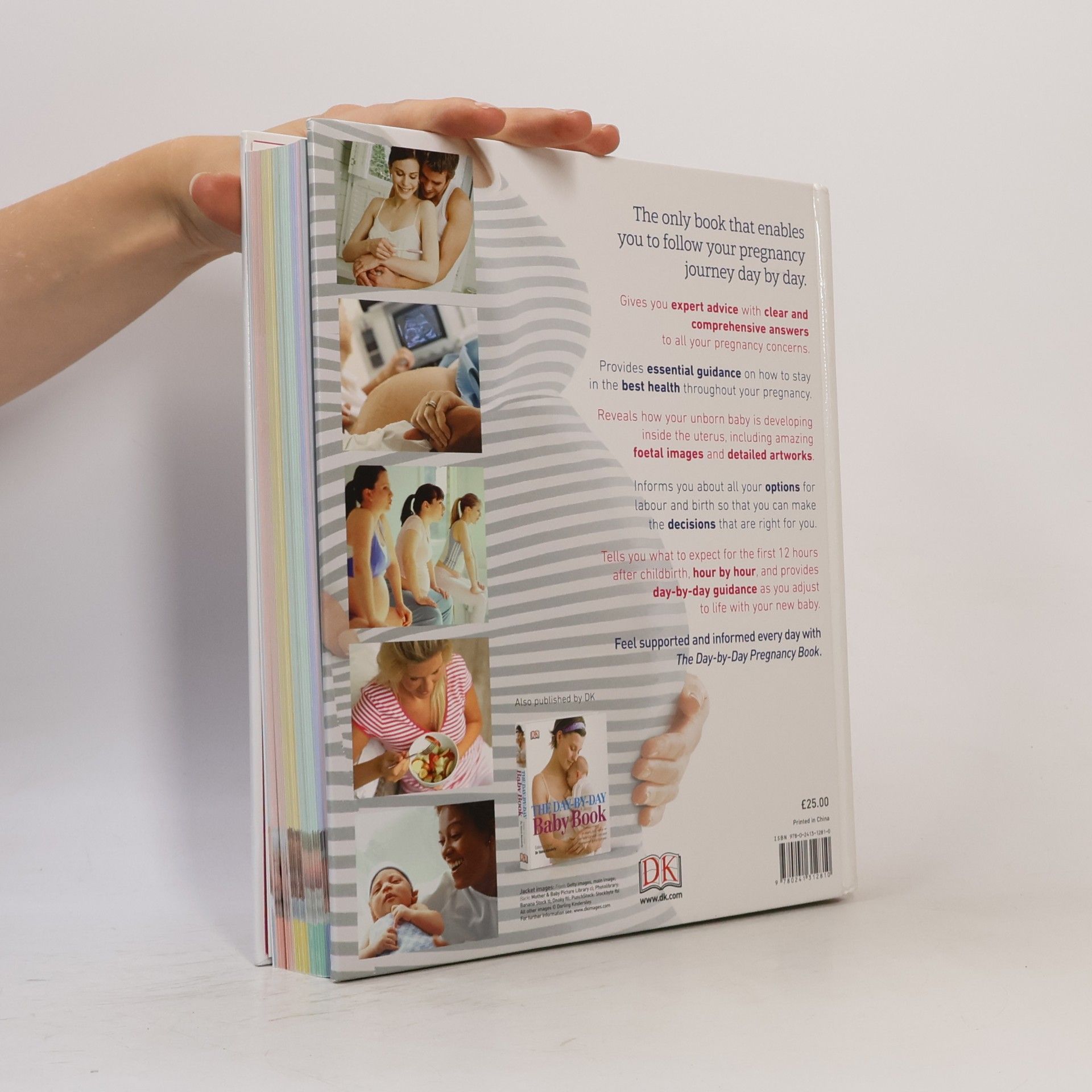 Maggie Dr. Blott The Day-By-day Pregnancy Book