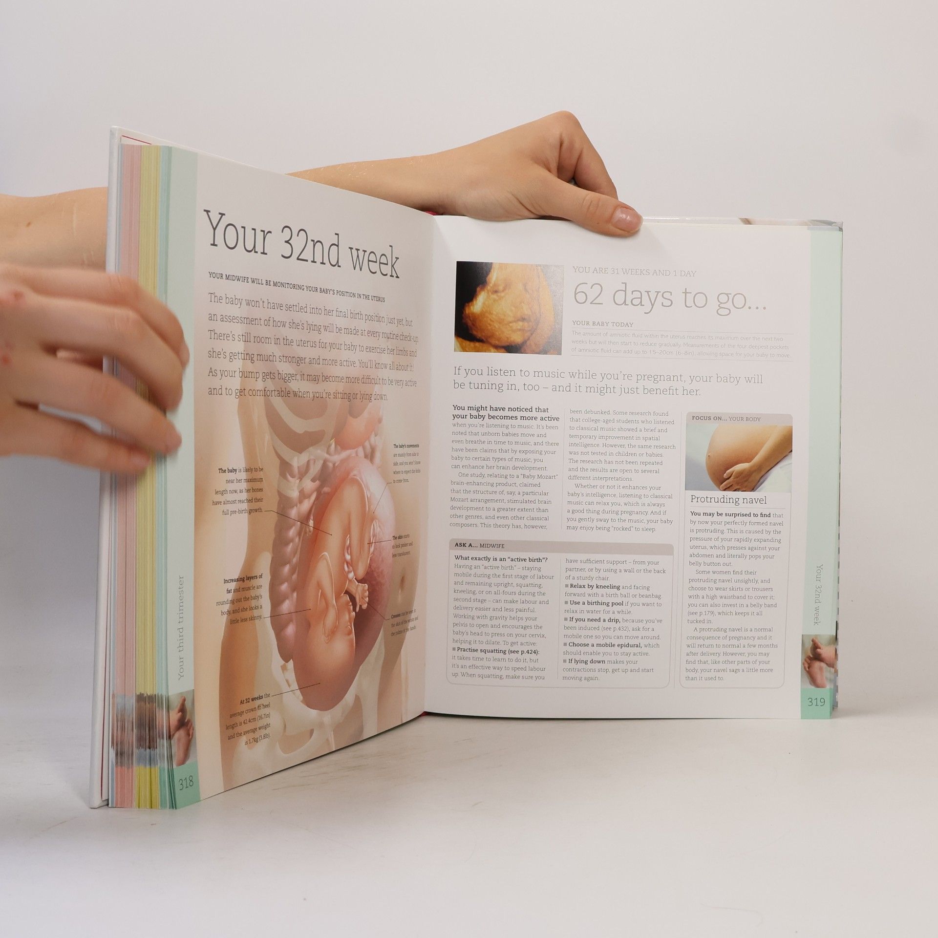 Maggie Dr. Blott The Day-By-day Pregnancy Book