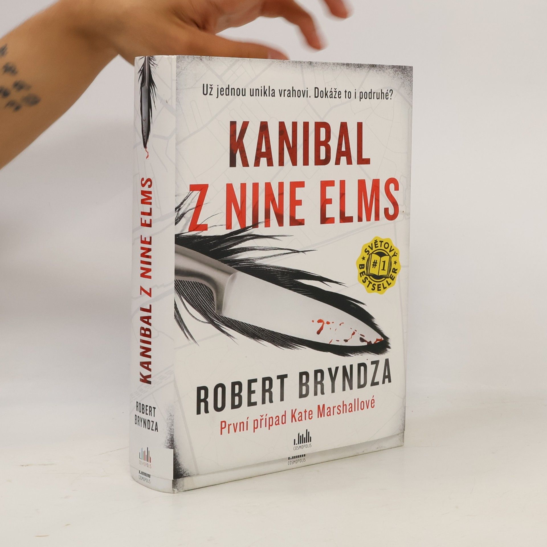 Robert Bryndza Kanibal z Nine Elms