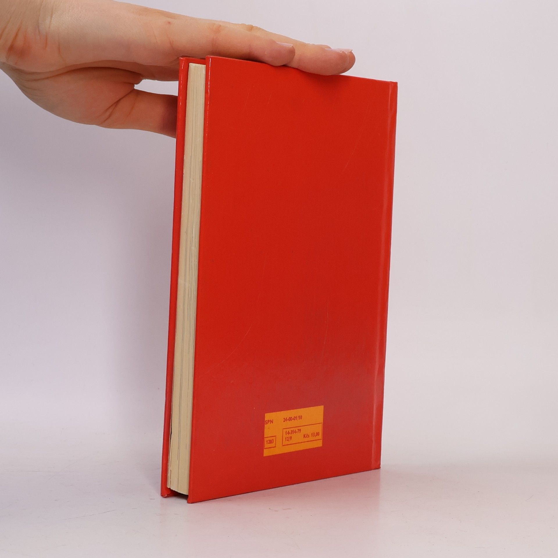 Collectif d'auteurs Učebnice pro první ročník středních škol. Pусский язык. Russkiy yazyk