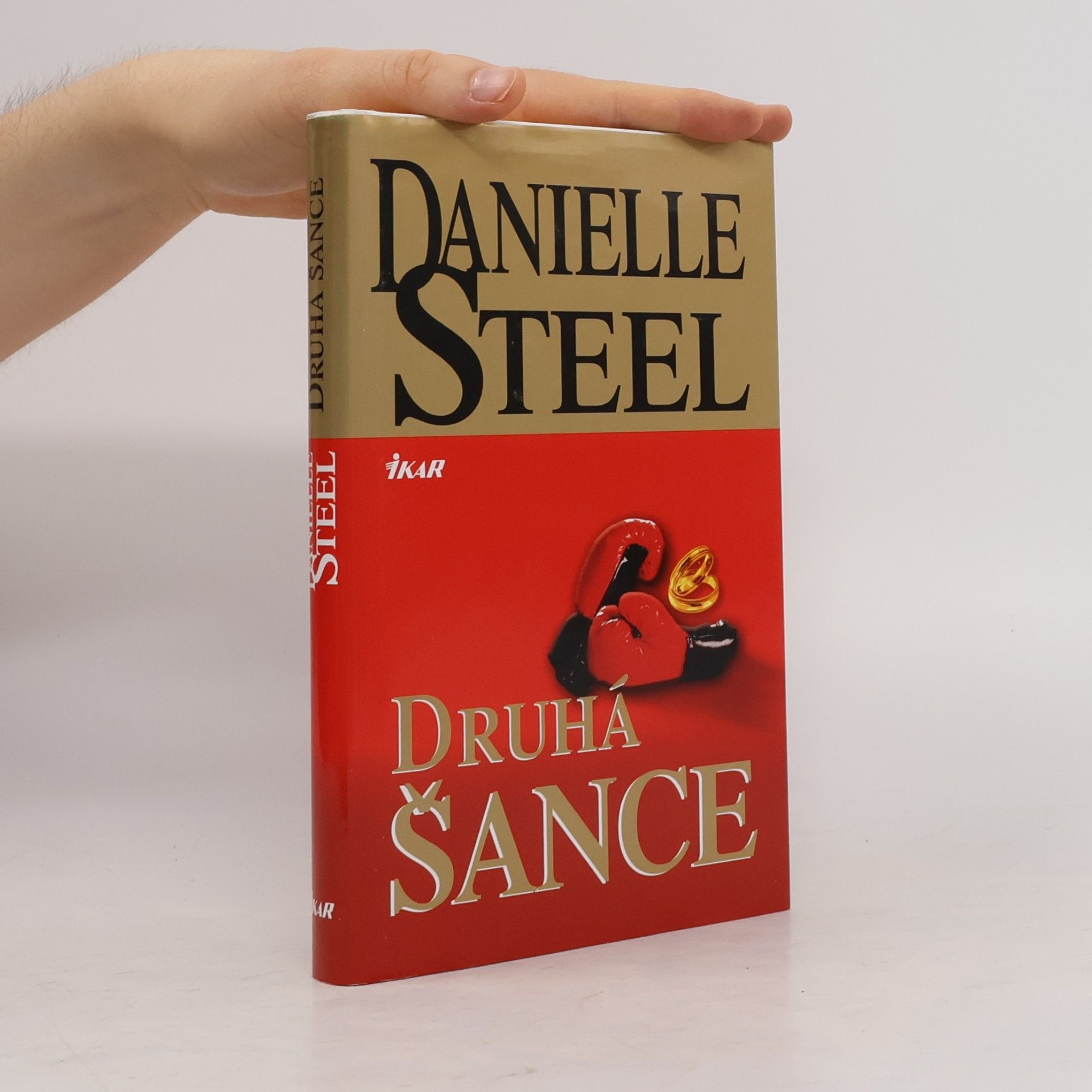 Danielle Steel Druhá šance