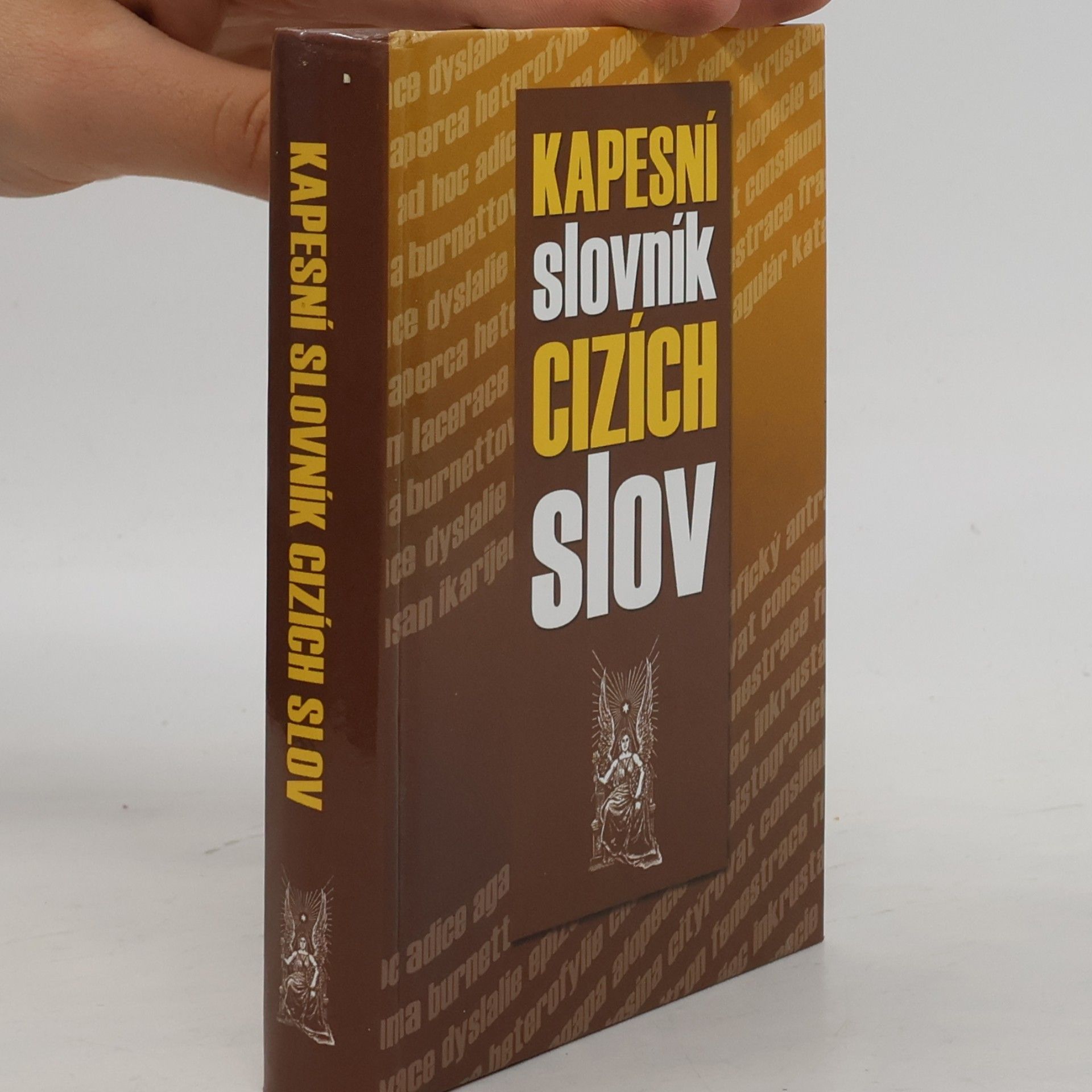 Autores varios Kapesní slovník cizích slov