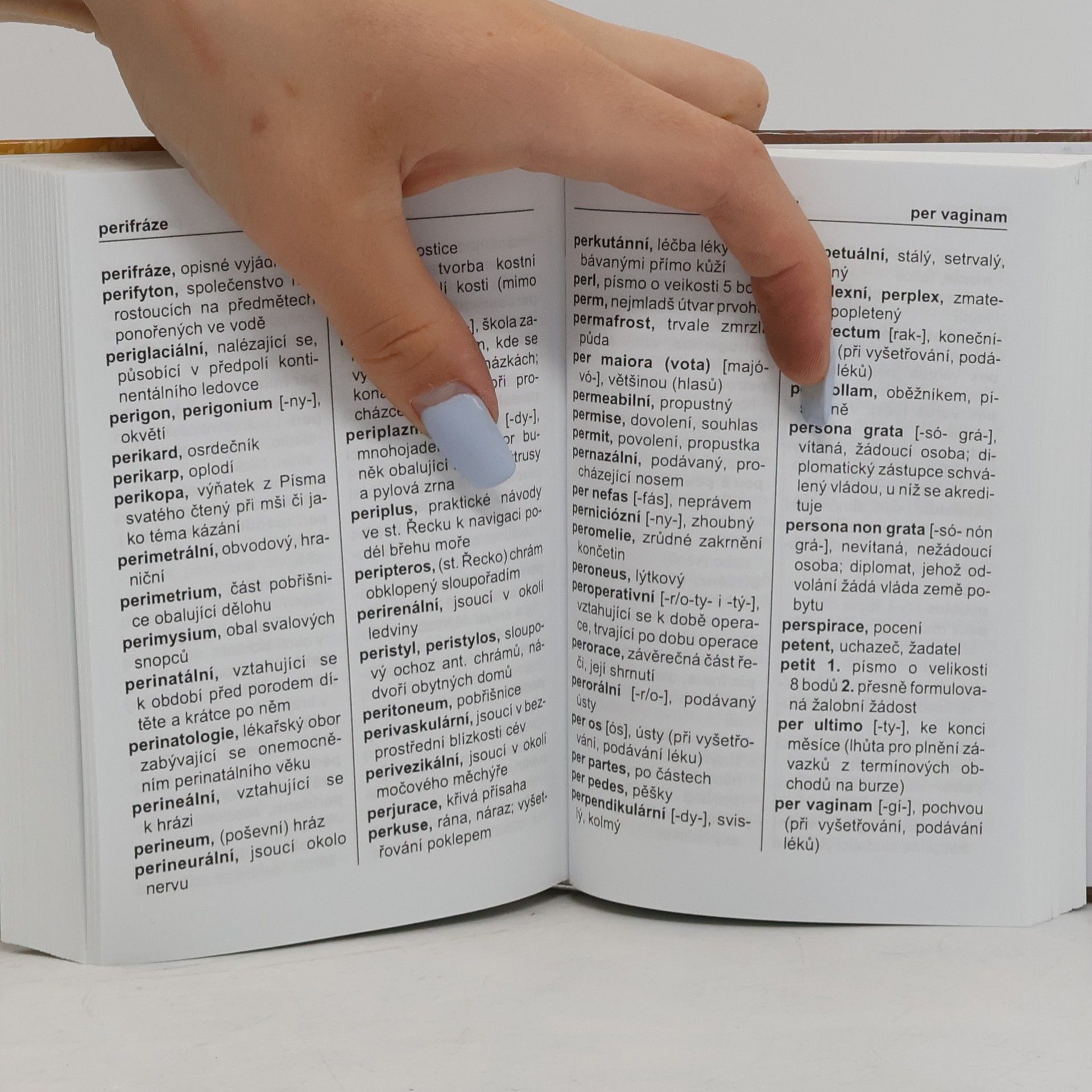 Autores varios Kapesní slovník cizích slov