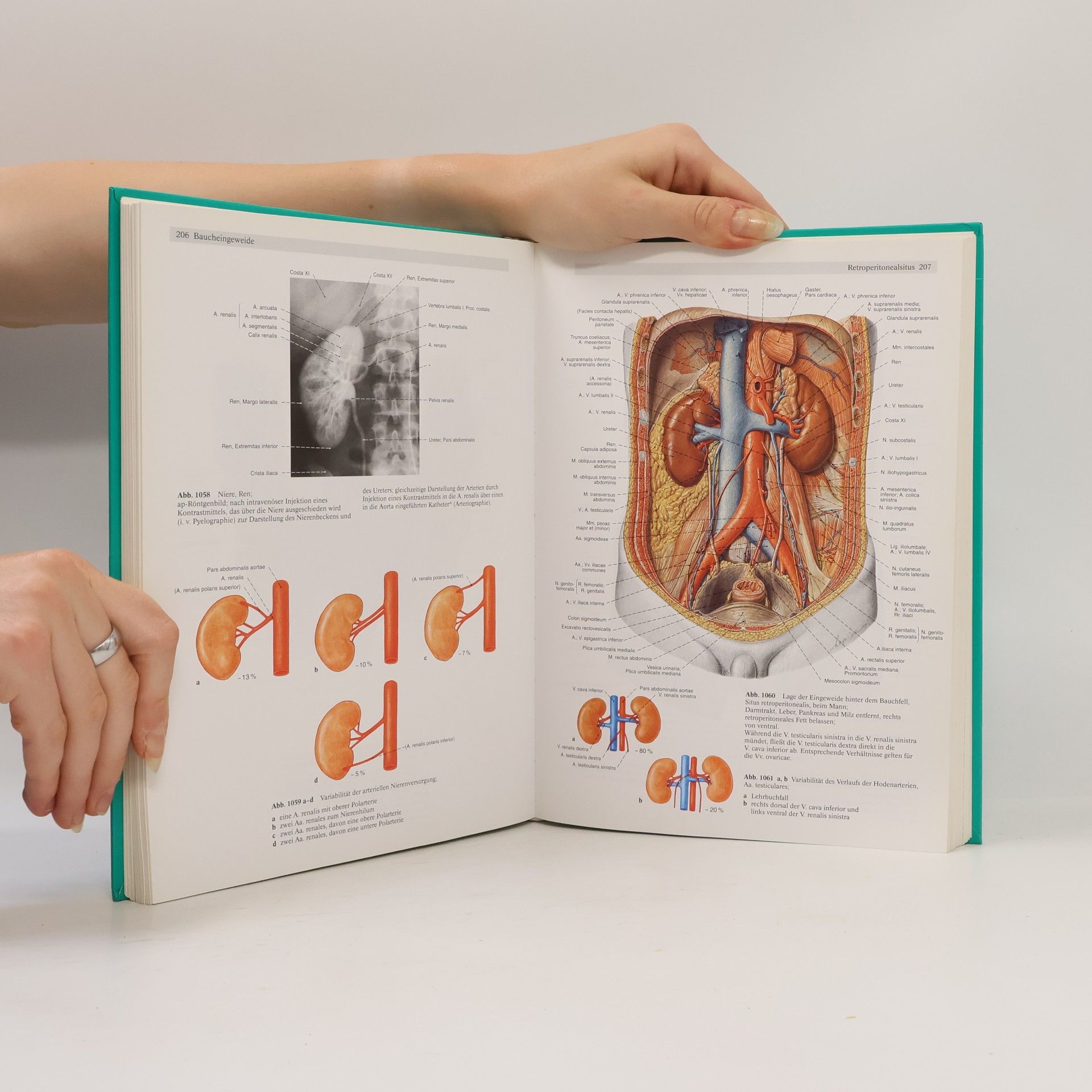 Johannes Sobotta Sobotta. Atlas der Anatomie des Menschen. Band 2