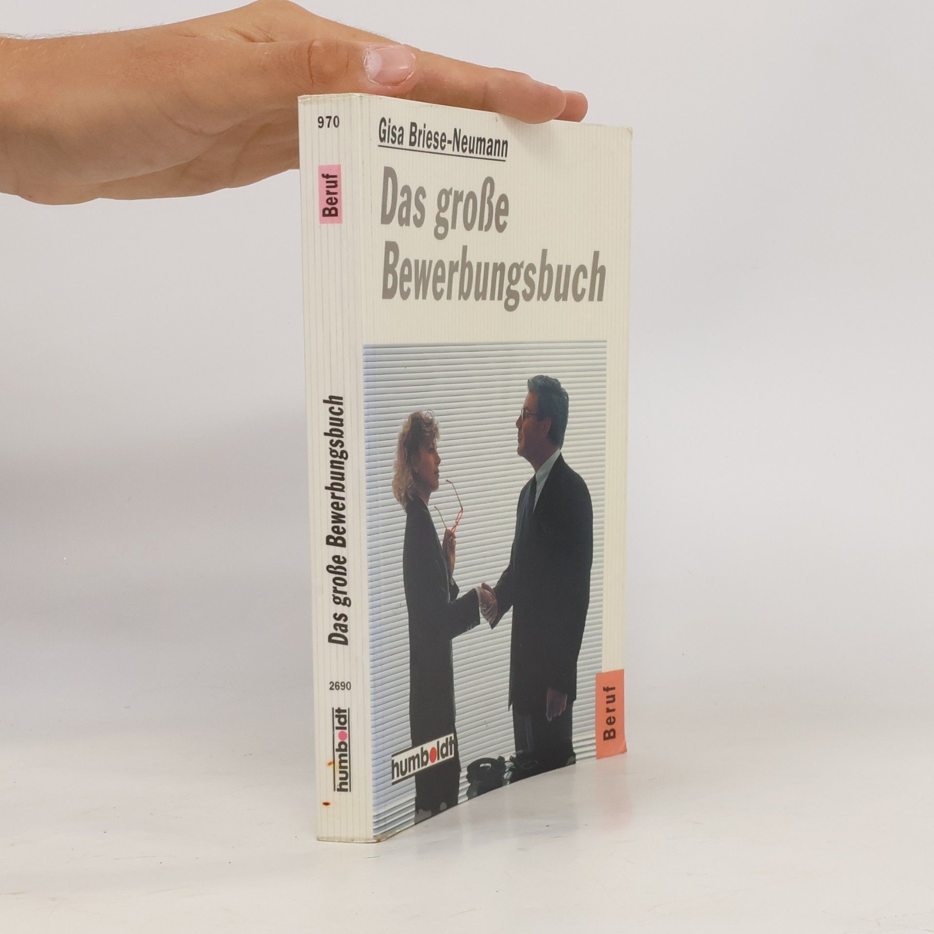 Gisa Briese Neumann Das grosse Bewerbungsbuch