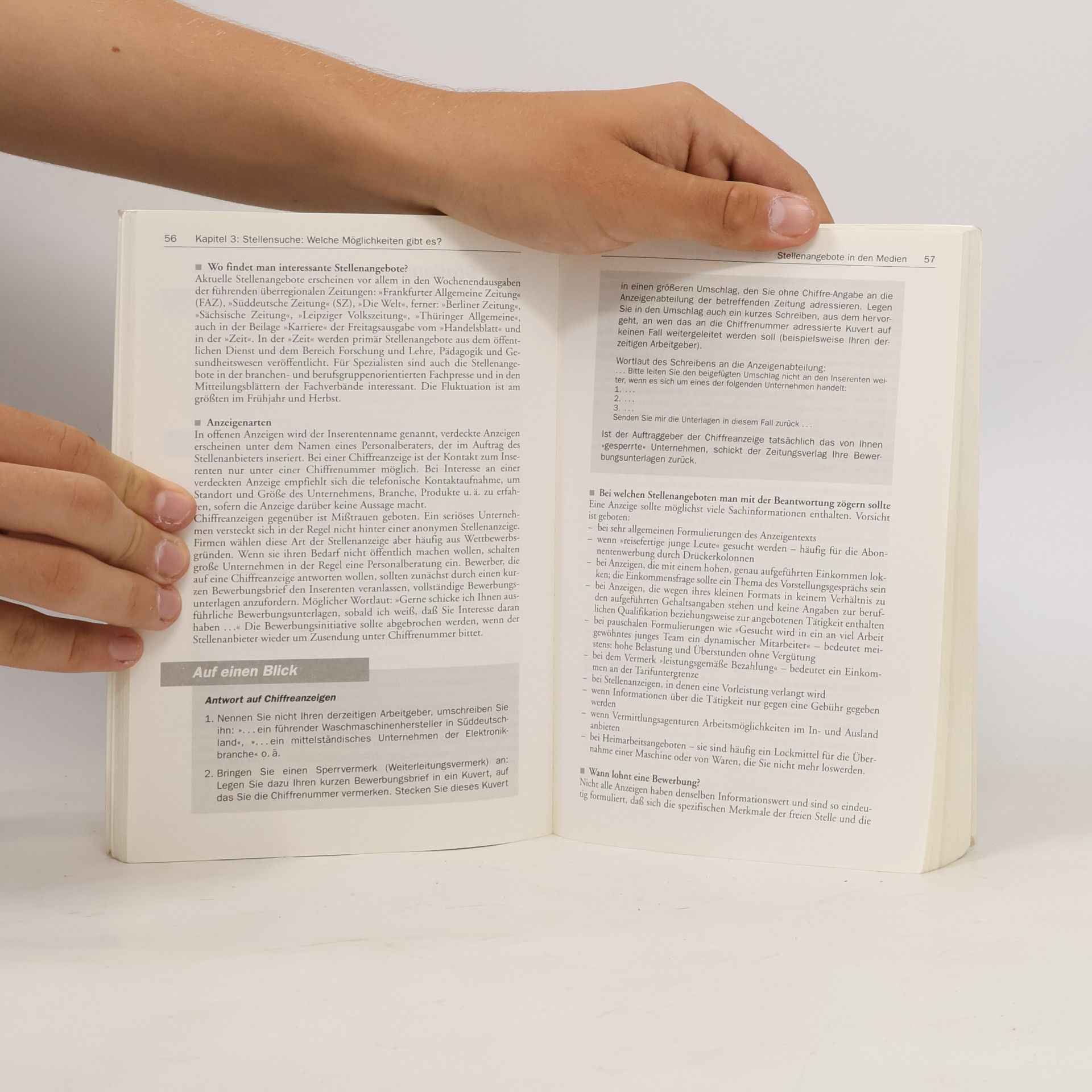 Gisa Briese Neumann Das grosse Bewerbungsbuch
